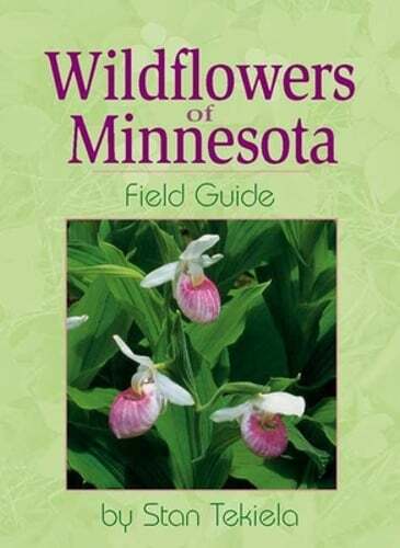 Wildflowers of Minnesota Field Guide by Stan Tekiela: Used