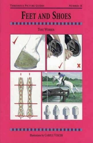Feet and Shoes (Threshold Picture Guides) – Paperback By Webber, Toni – GOOD