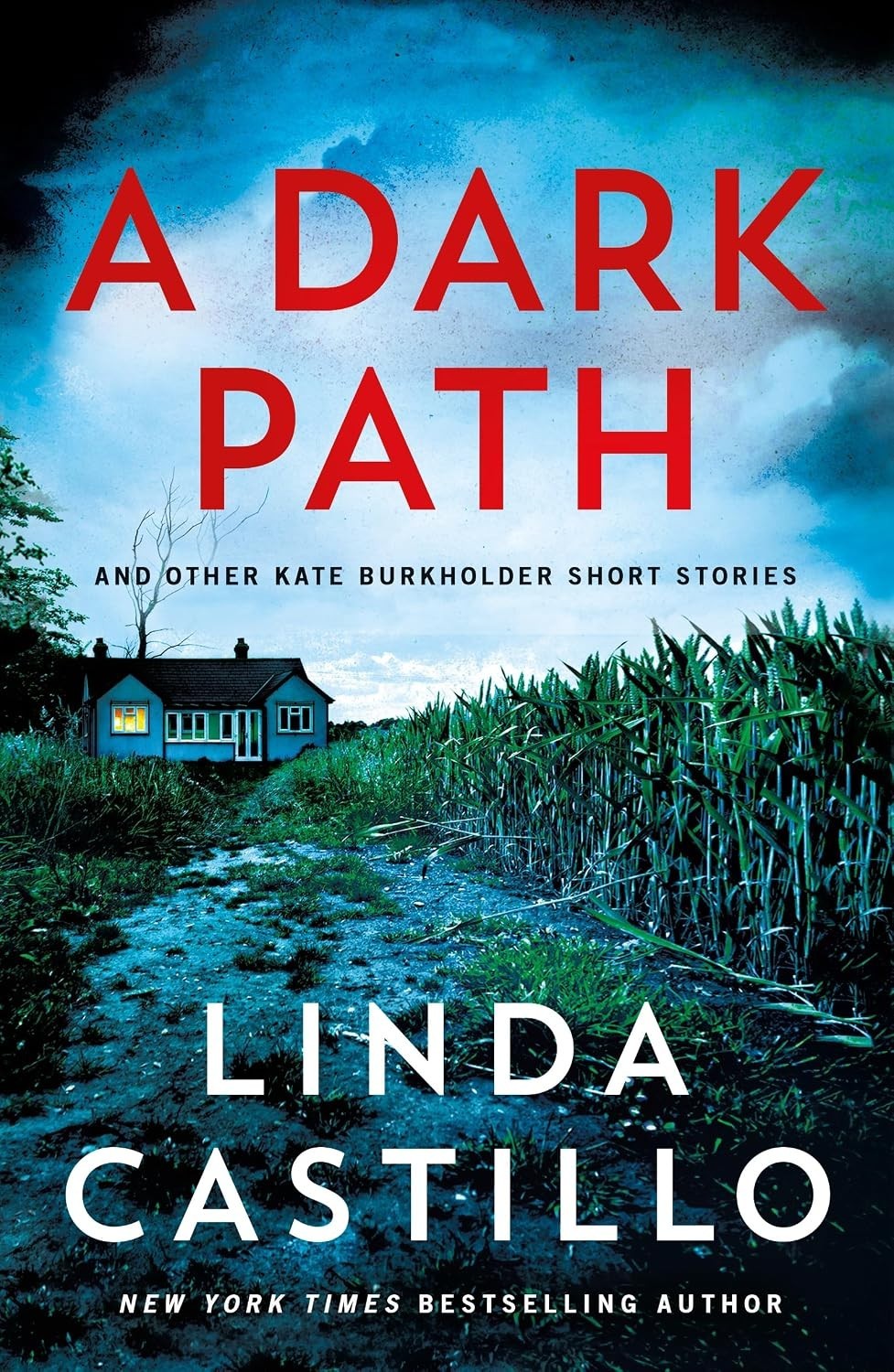 Dark Path: and Other Kate Burkholder Short Stories by Linda Castillo (2026,…