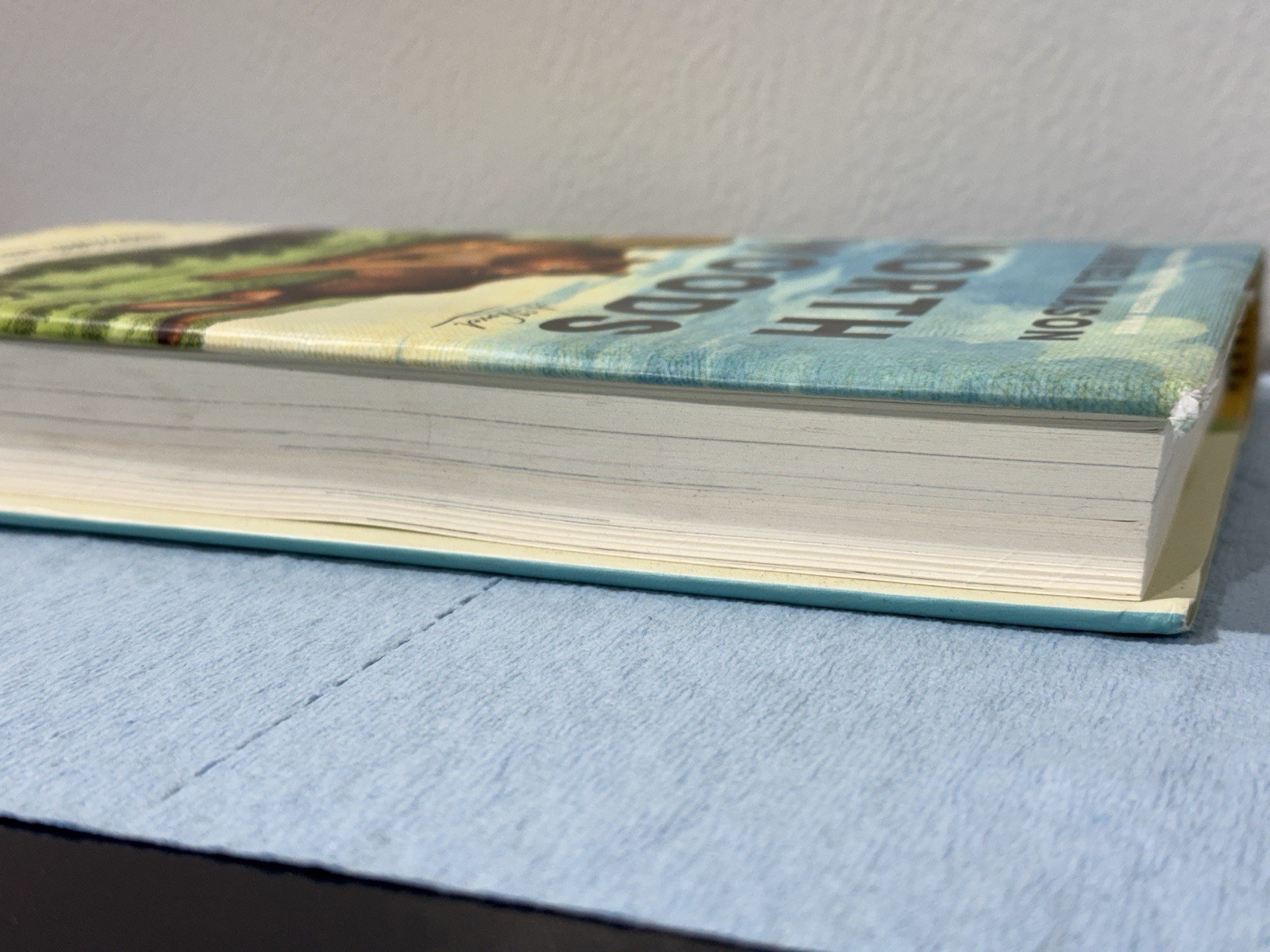 North Woods, Daniel Mason 2023 HCDJ 1st ed, 1st printing in Mylar, Fine