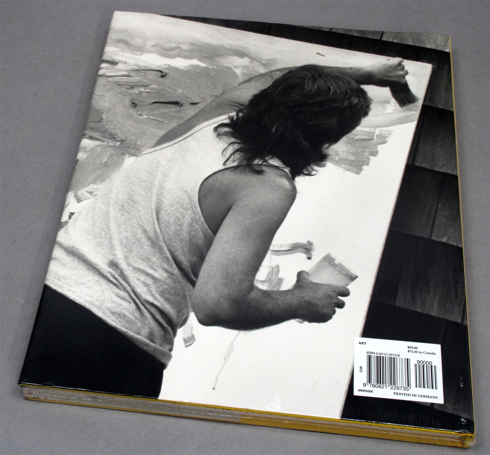 Paul McCartney’s Paintings by Paul McCartney (2000, Hardcover) Brand New