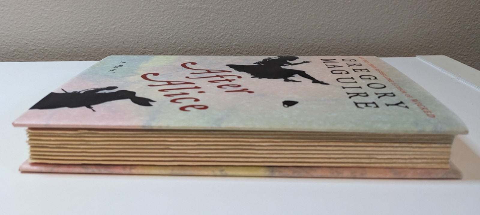 After Alice : A Novel by Gregory Maguire (2015, Hardcover)