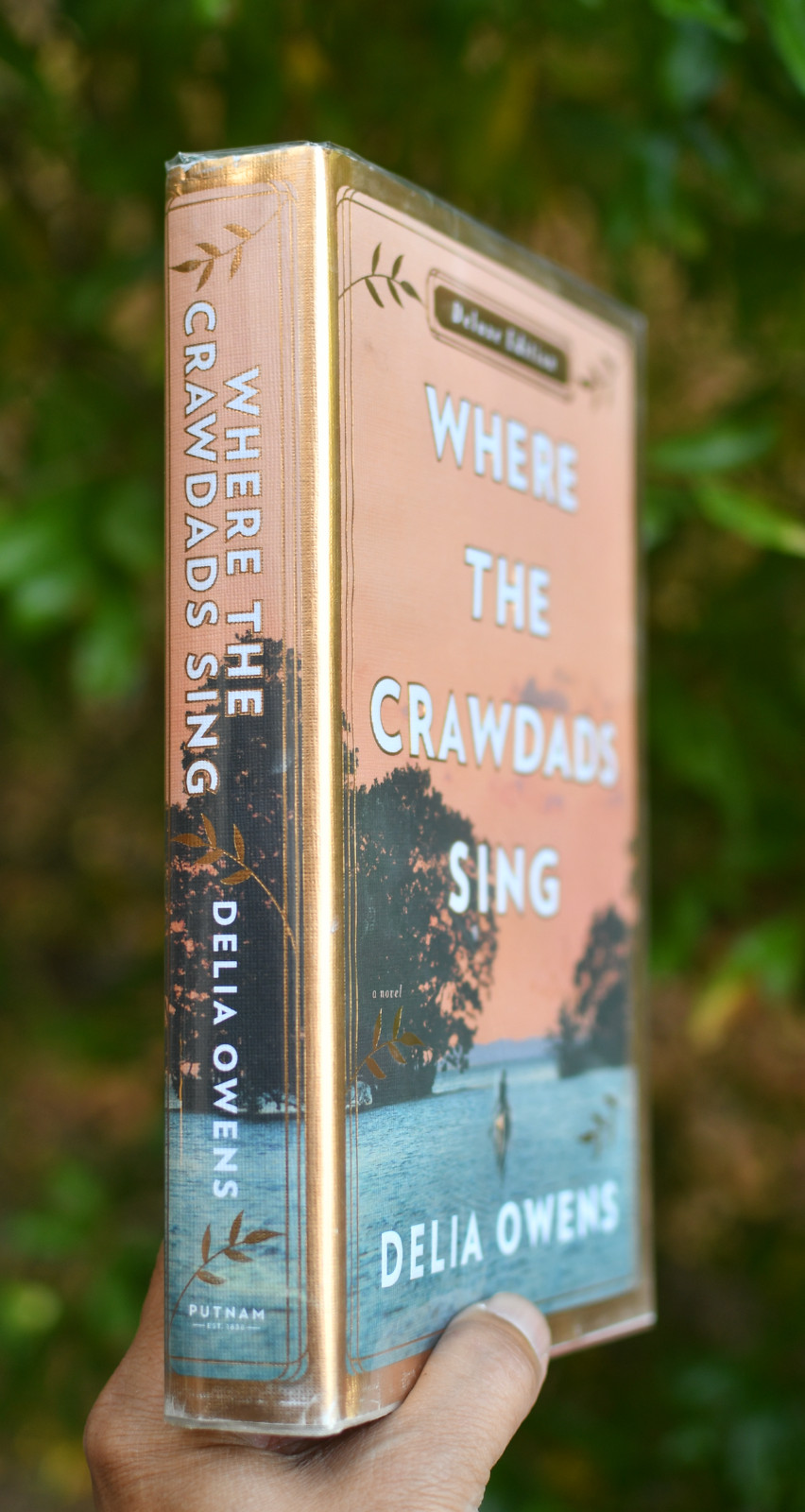 Where the Crawdads Sing by Delia Owens 1st Edition 1st Printing