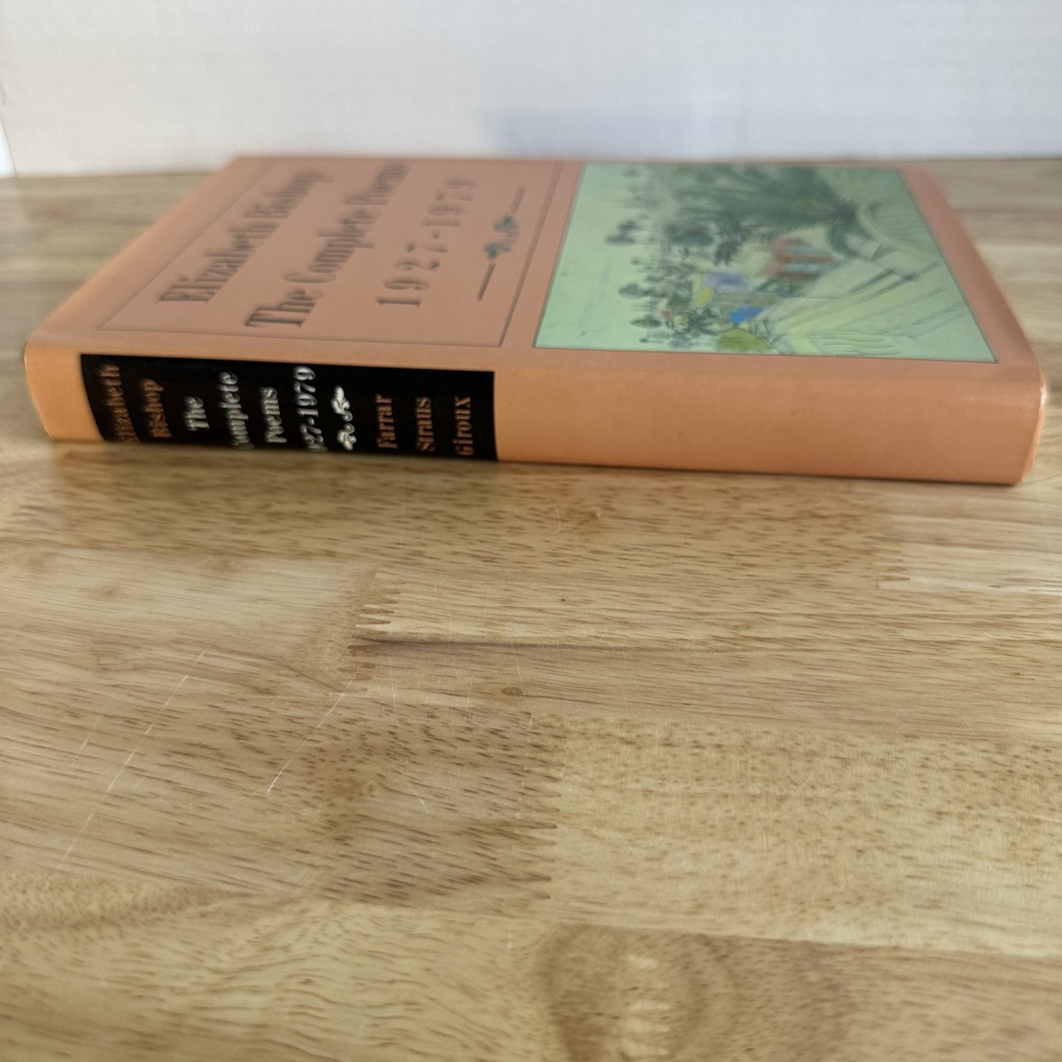 The Complete Poems Elizabeth Bishop 1983 First Printing Poetry Farrar Straus