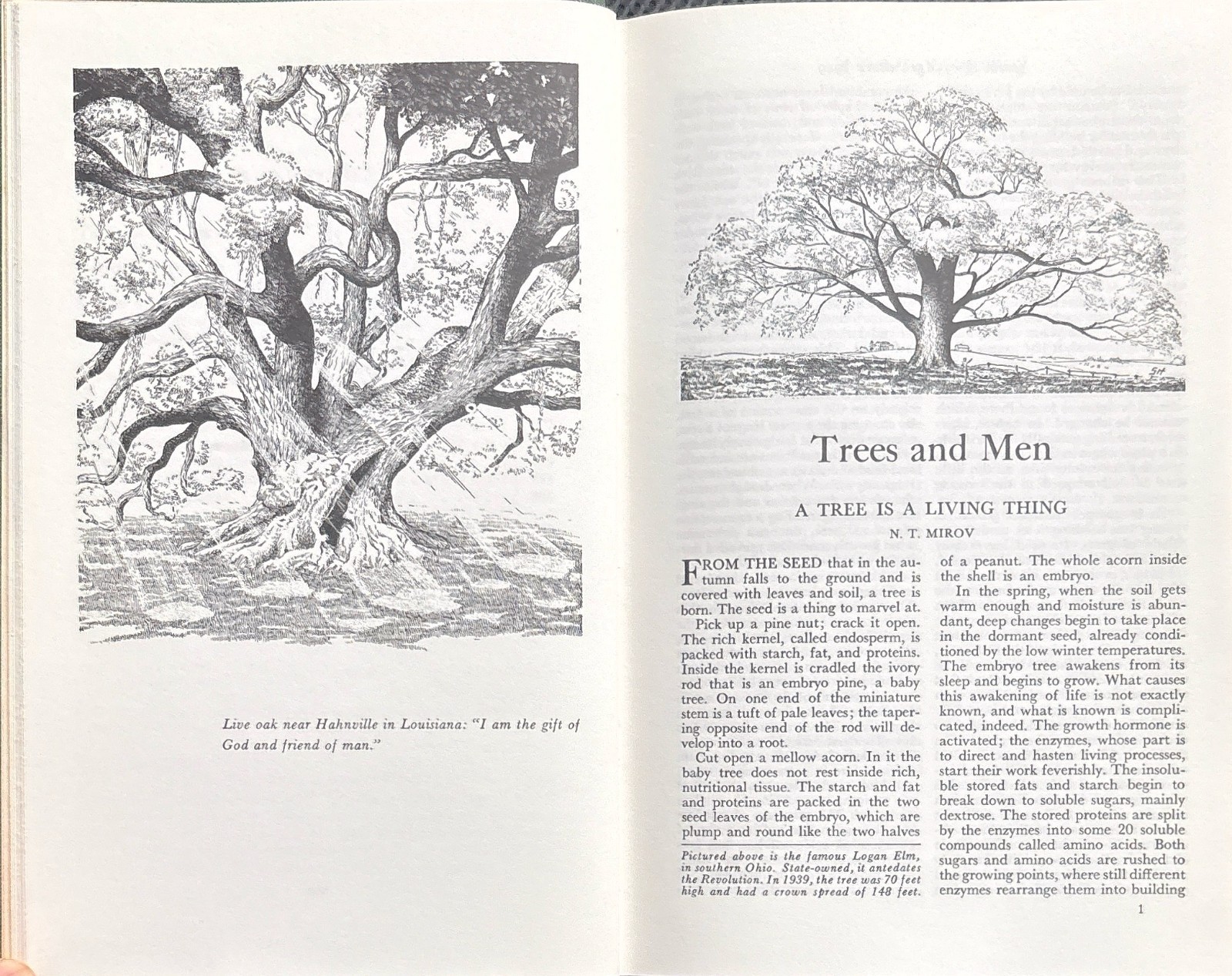 1949 VINTAGE USDA Yearbook of Agriculture “TREES” – 944 Pages Illustrated HC