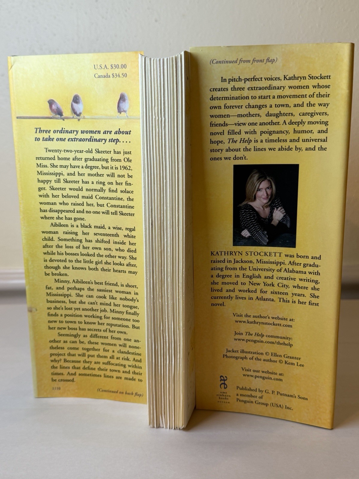 The Help Kathryn Stockett First Edition Deluxe Edition