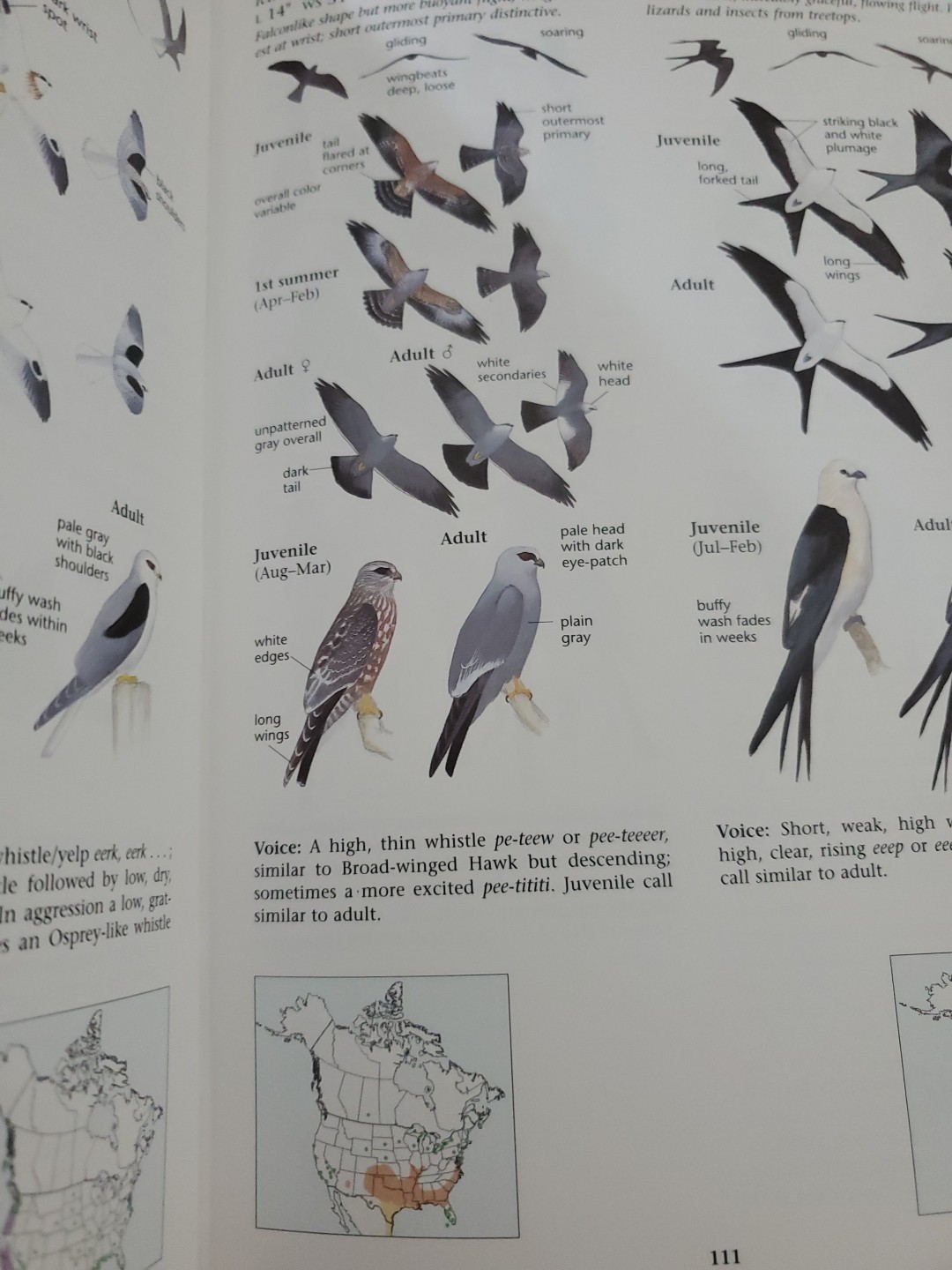 The North American Bird Guide By David Sibley Flex Cover 544 pages