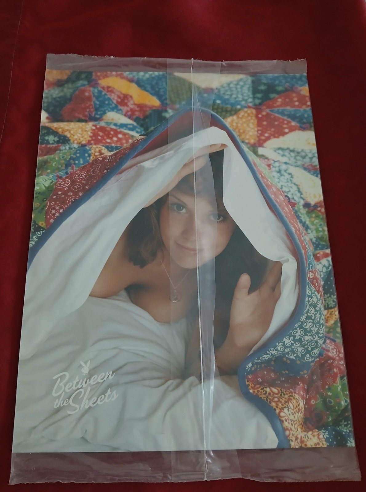Playboy Between the Sheets Collectors Edition New Factory Sealed June 2015