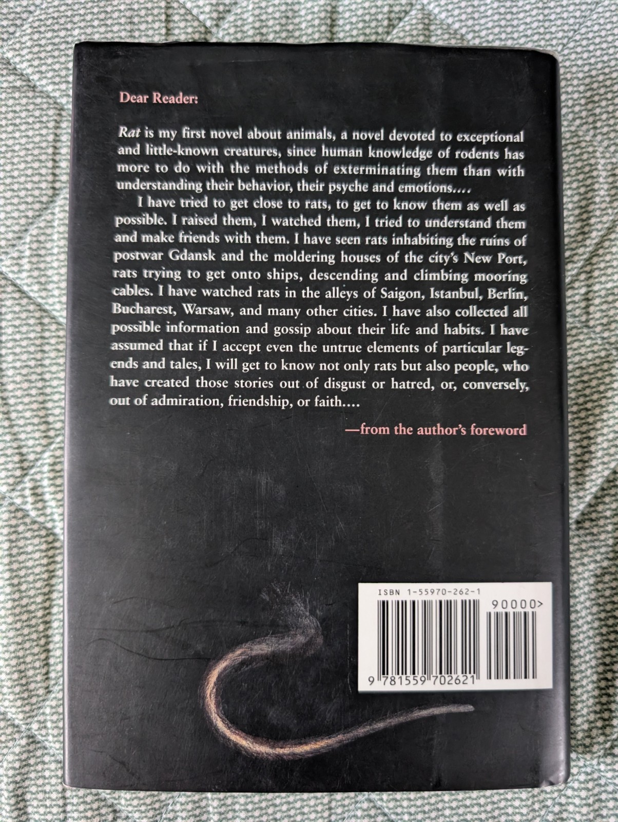 Rat by Andrej Zaniewski Hard Cover W/Dust Jacket 1st English Language Edition