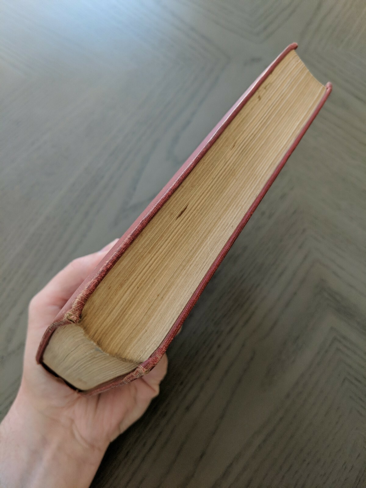 Arthur Bonnicastle (Hardcover 1905) J.G. Holland Charles Scribner’s Sons