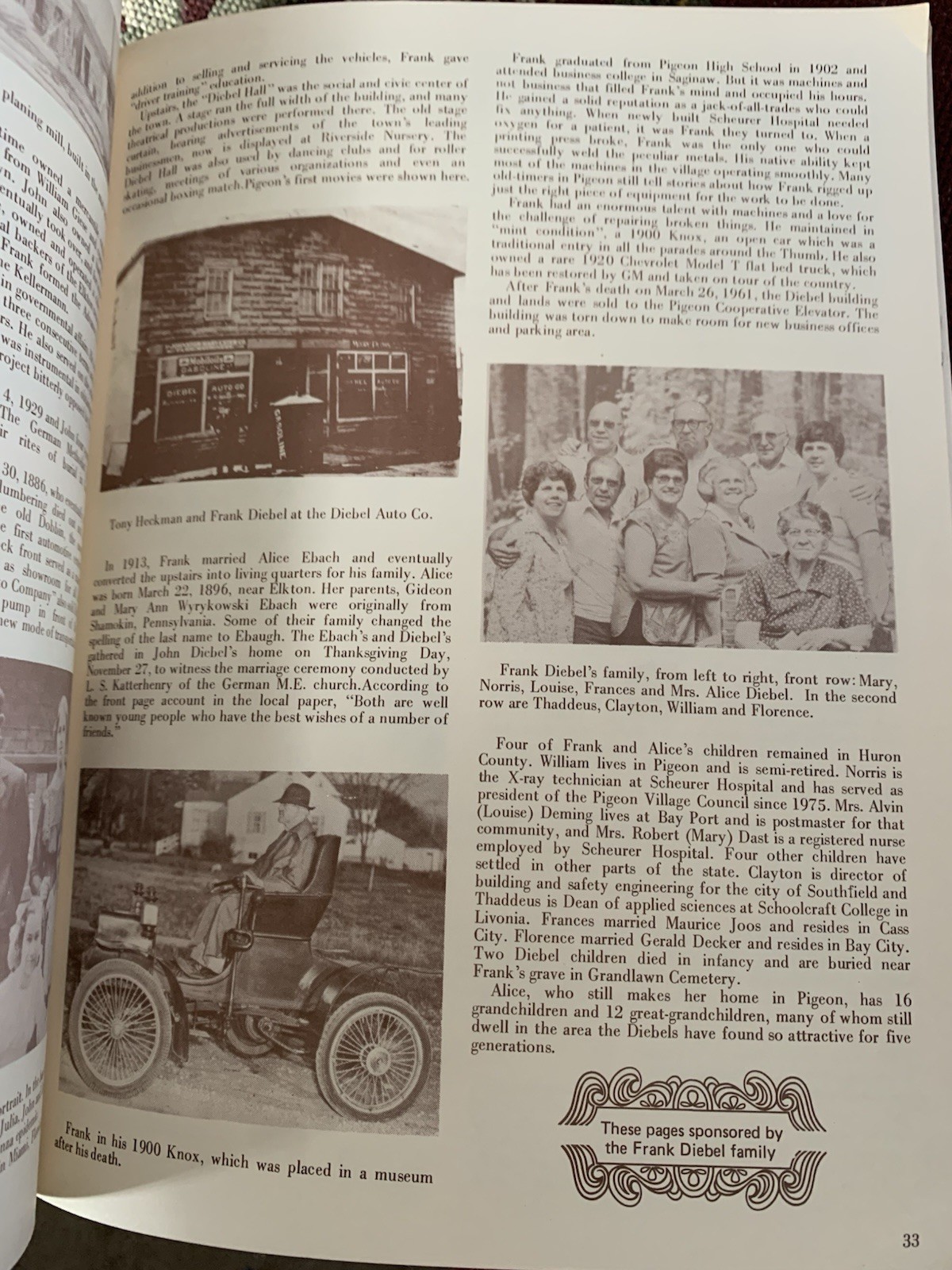 1977 Pigeon Huron County Michigan History Book 216 Pages Elkton Lakers