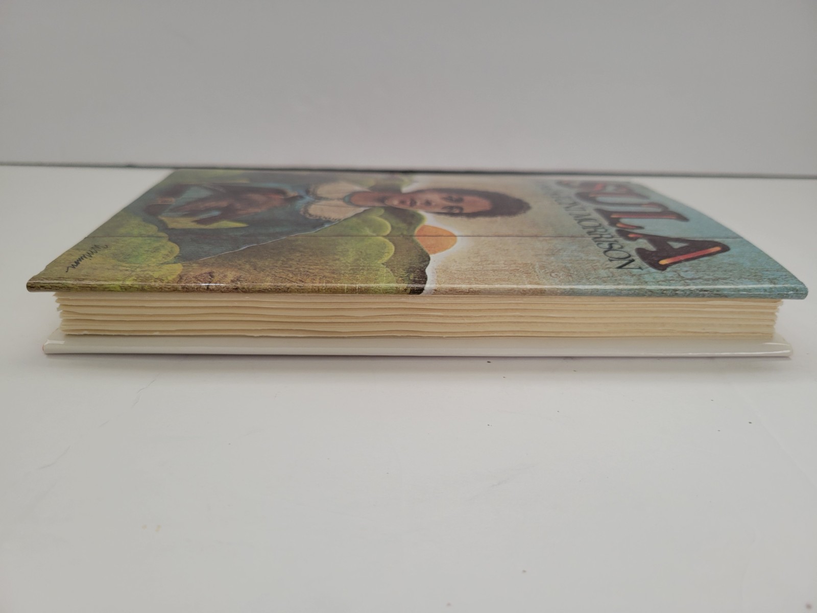 Sula Toni Morrison First Edition Hardcover 1993 Very Good +
