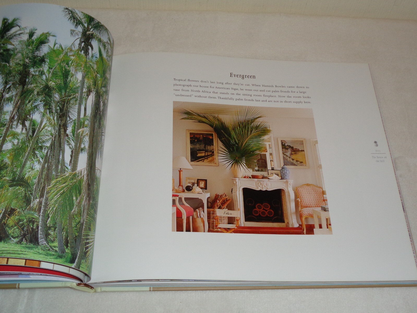 Island Life Inspirational Interiors SIGNED India Hicks David Flint Wood Book