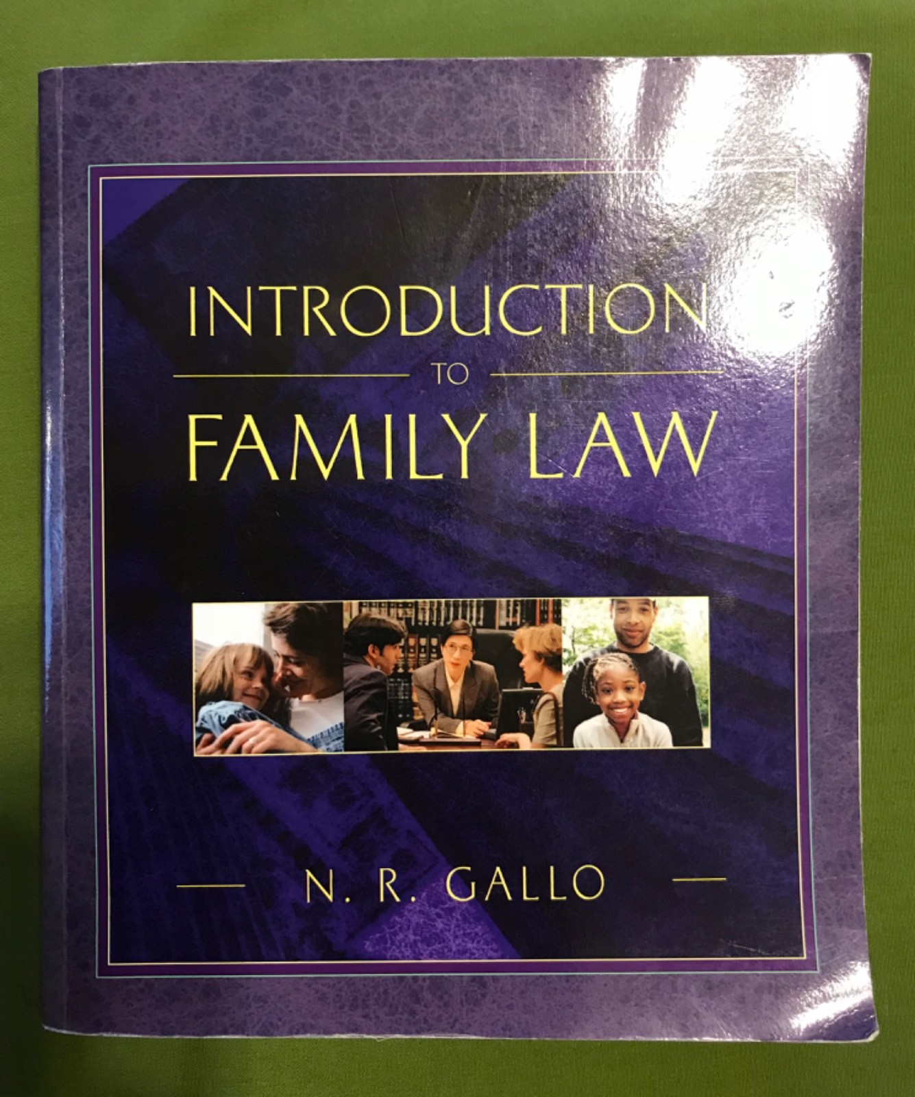 Introduction to Family Law Nancy Gallo 2004 Delmar Cengage GOOD
