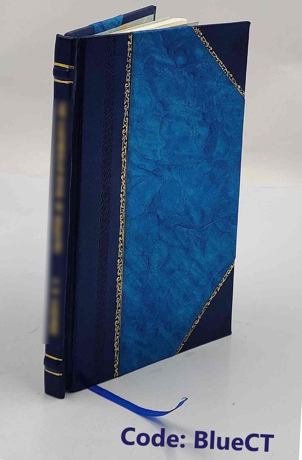 Die individualisirung der obligation 1886 by Ludwig Mitteis [Leather Bound]
