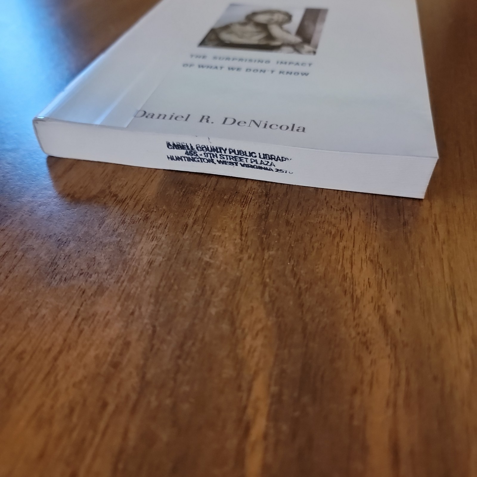 Understanding Ignorance – Daniel R. DeNicola