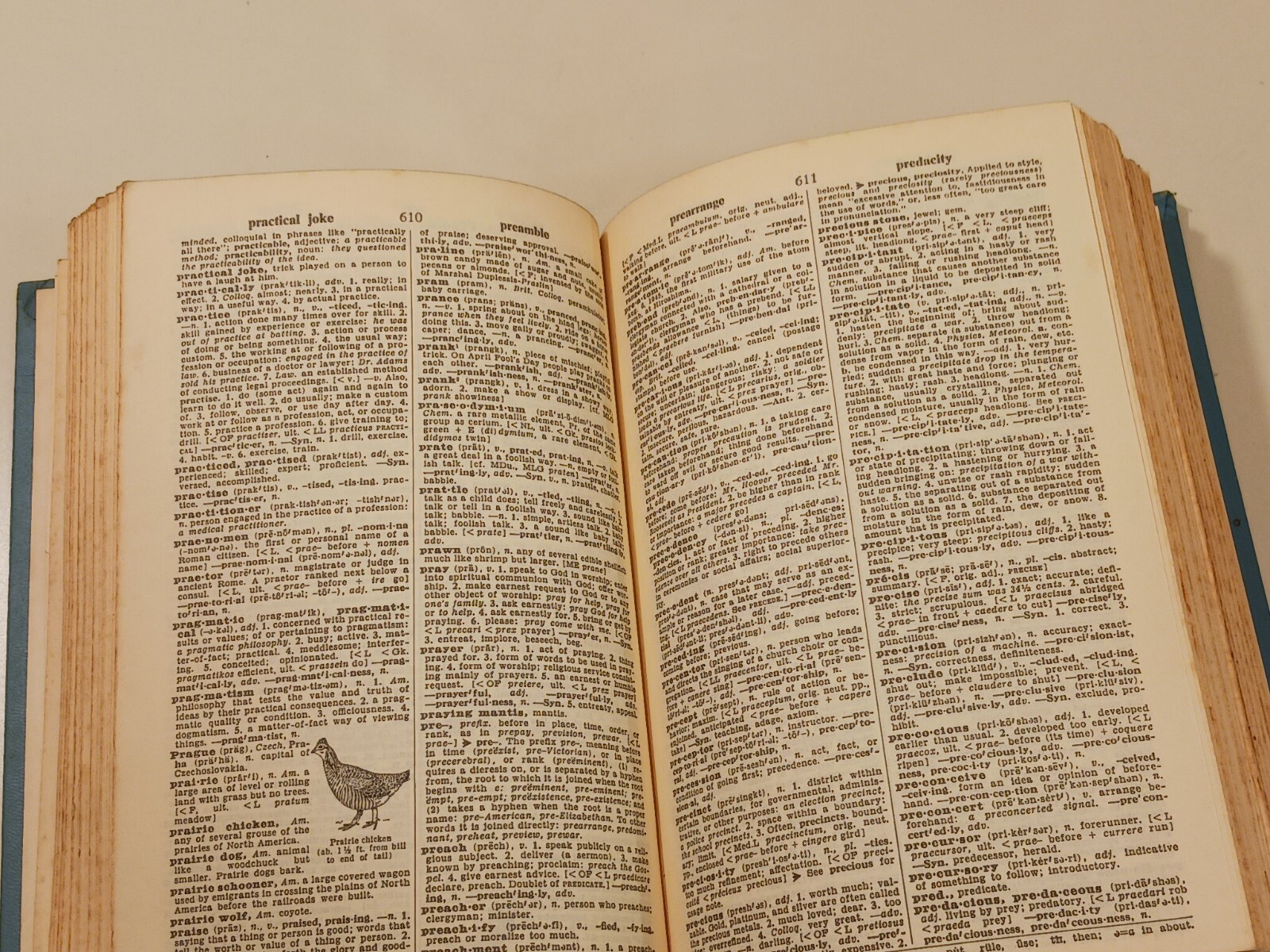 Thorndike Barnhart Comprehensive Desk Dictionary 1962 De Luxe Edition Doubleday