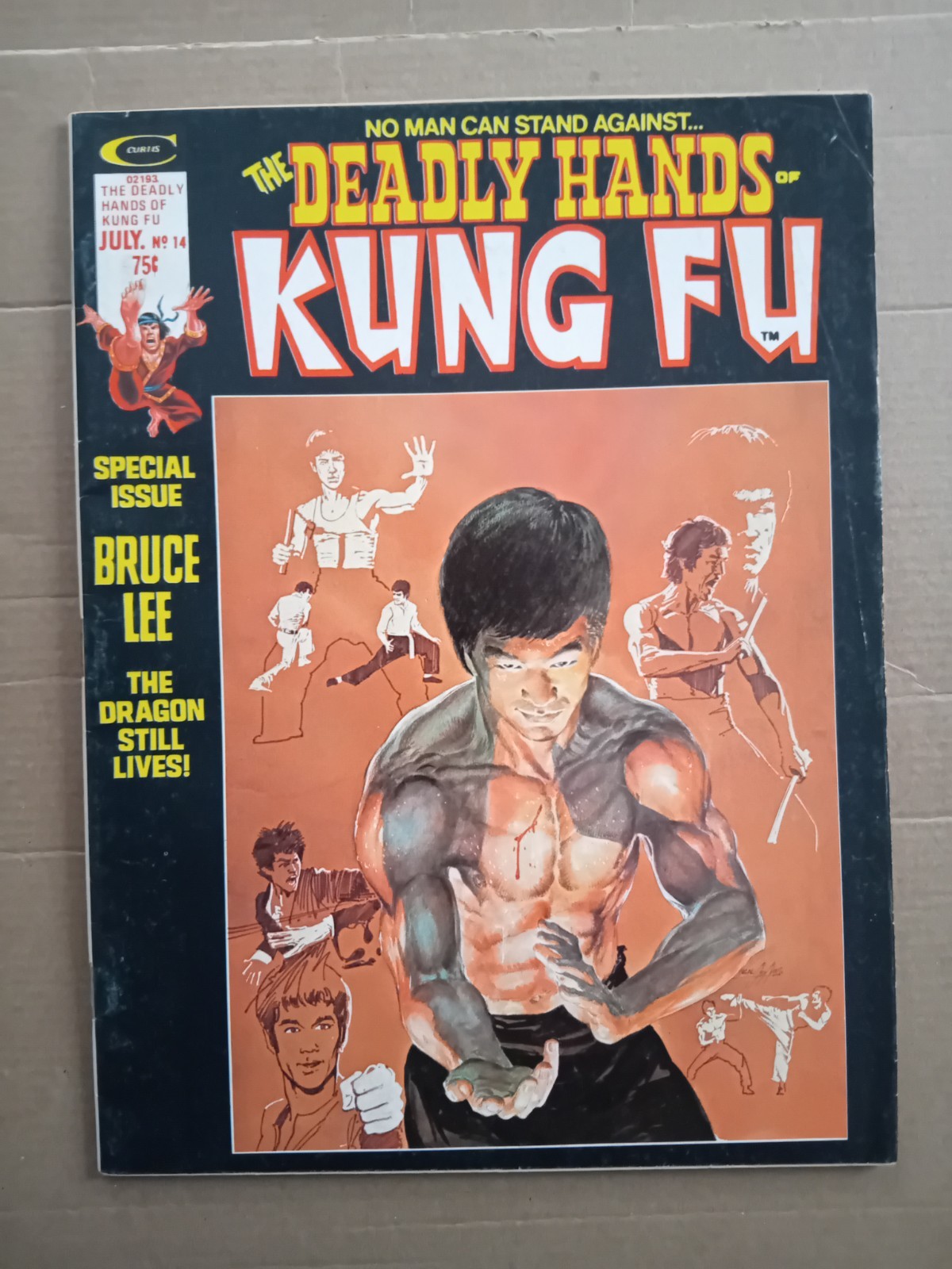 Deadly Hands Of Kung #14. Adam Cover. Bruce Lee Special Edition.1975 Marvel F/FV