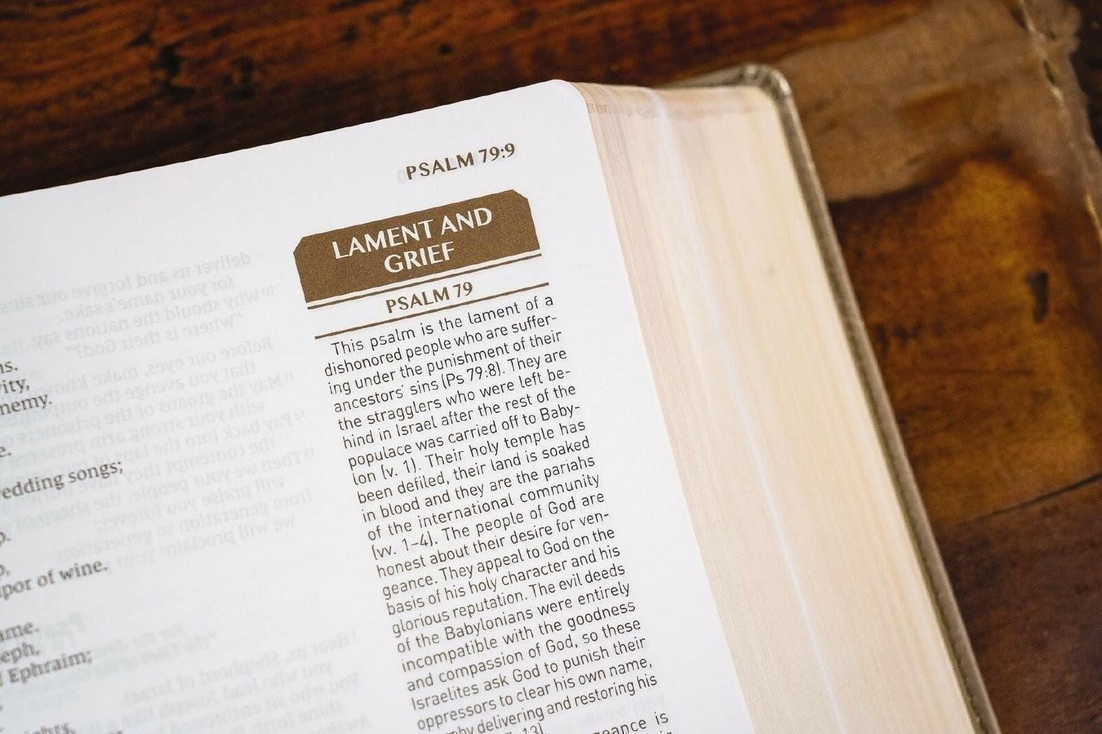 NIV, Upside-Down Kingdom Bible, Leathersoft, Tan, Comfort Print: Think Deeply…