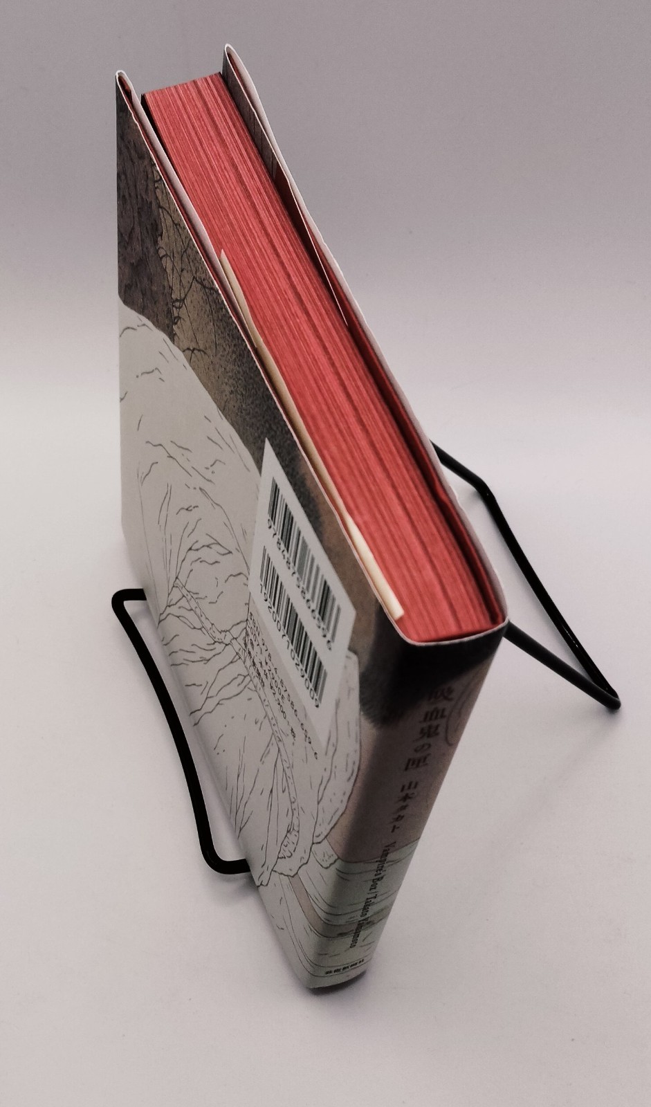 Vampire’s Box Takato Yamamoto Art Book Gothic Illustration
