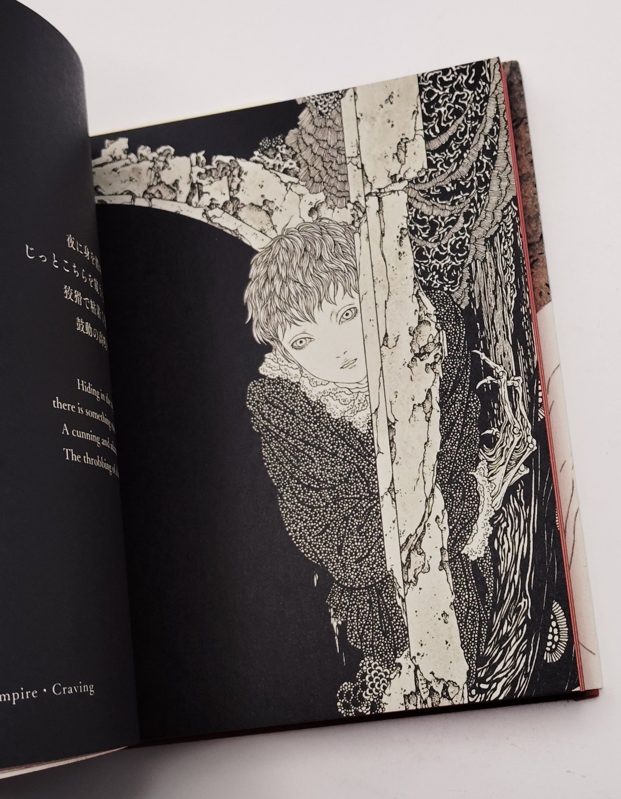 Vampire’s Box Takato Yamamoto Art Book Gothic Illustration