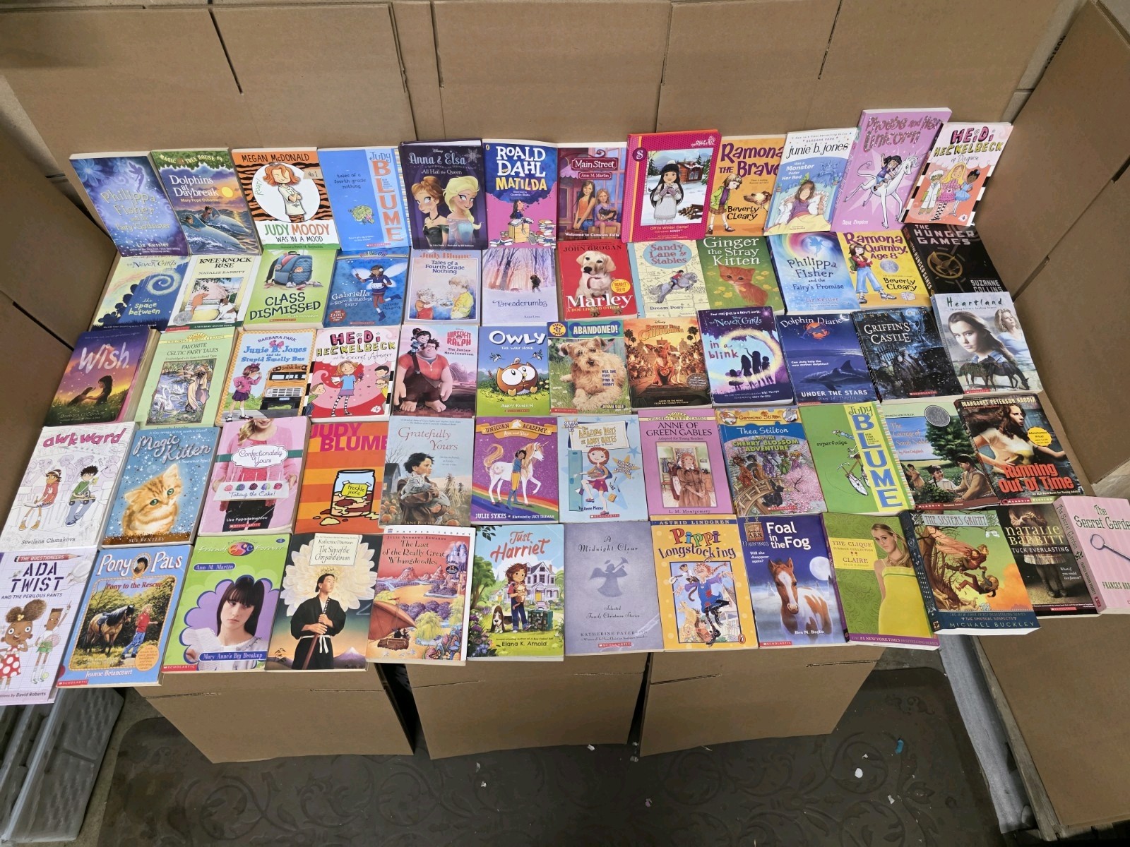 Lot of 20 Chapter Books for GIRLS Youth Early Reader Young Adult Children RANDOM
