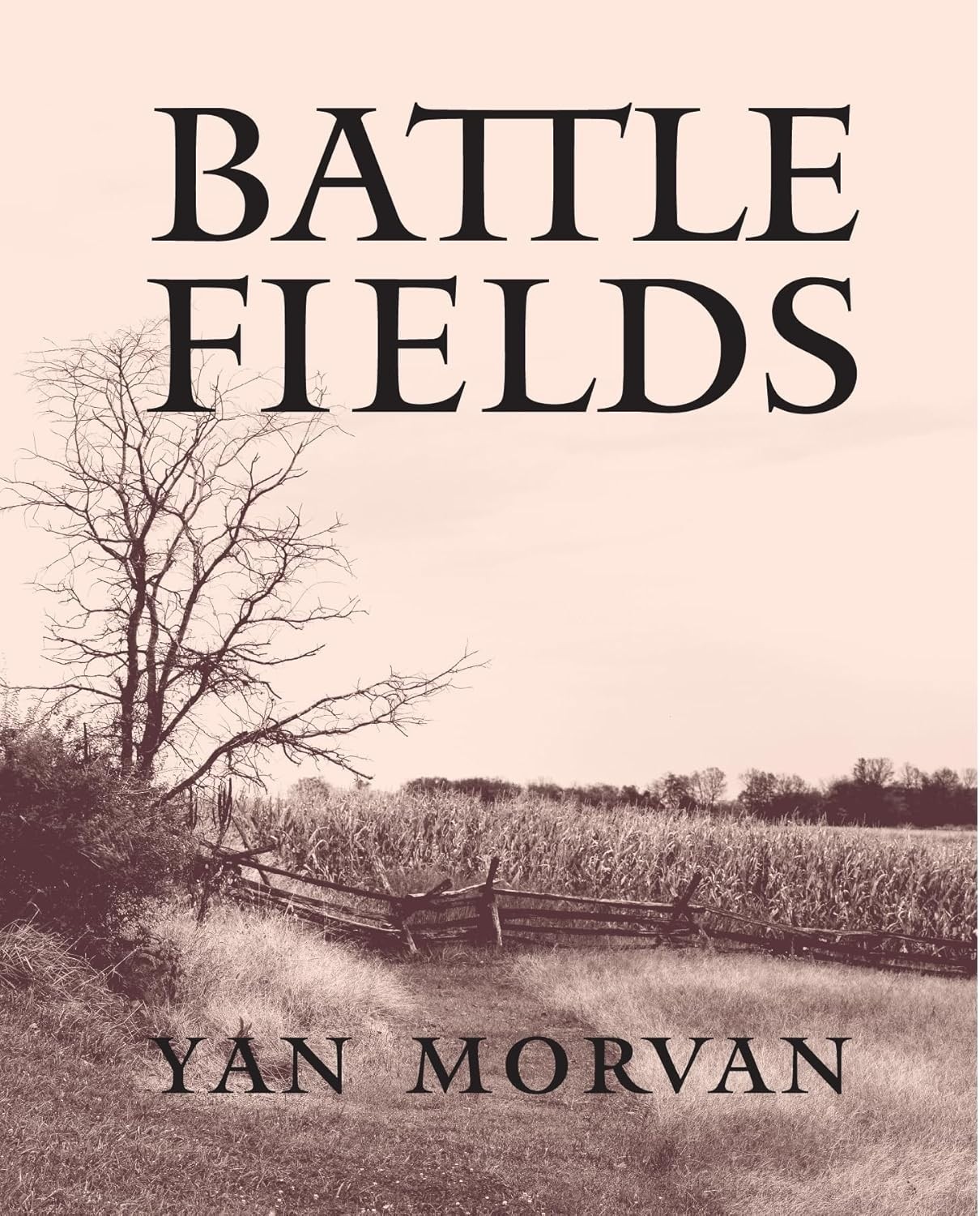 Battlefields by Adrian Goldsworthy (2018, Hardcover)