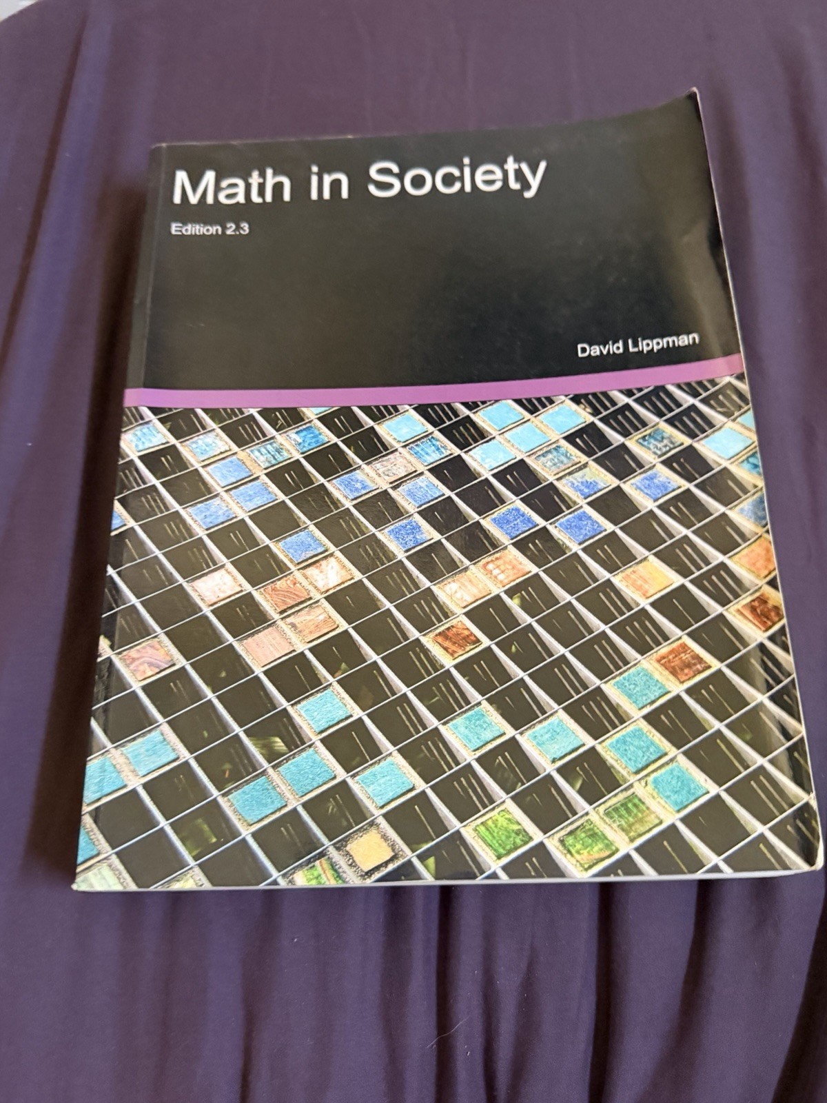 Math in Society 2.3