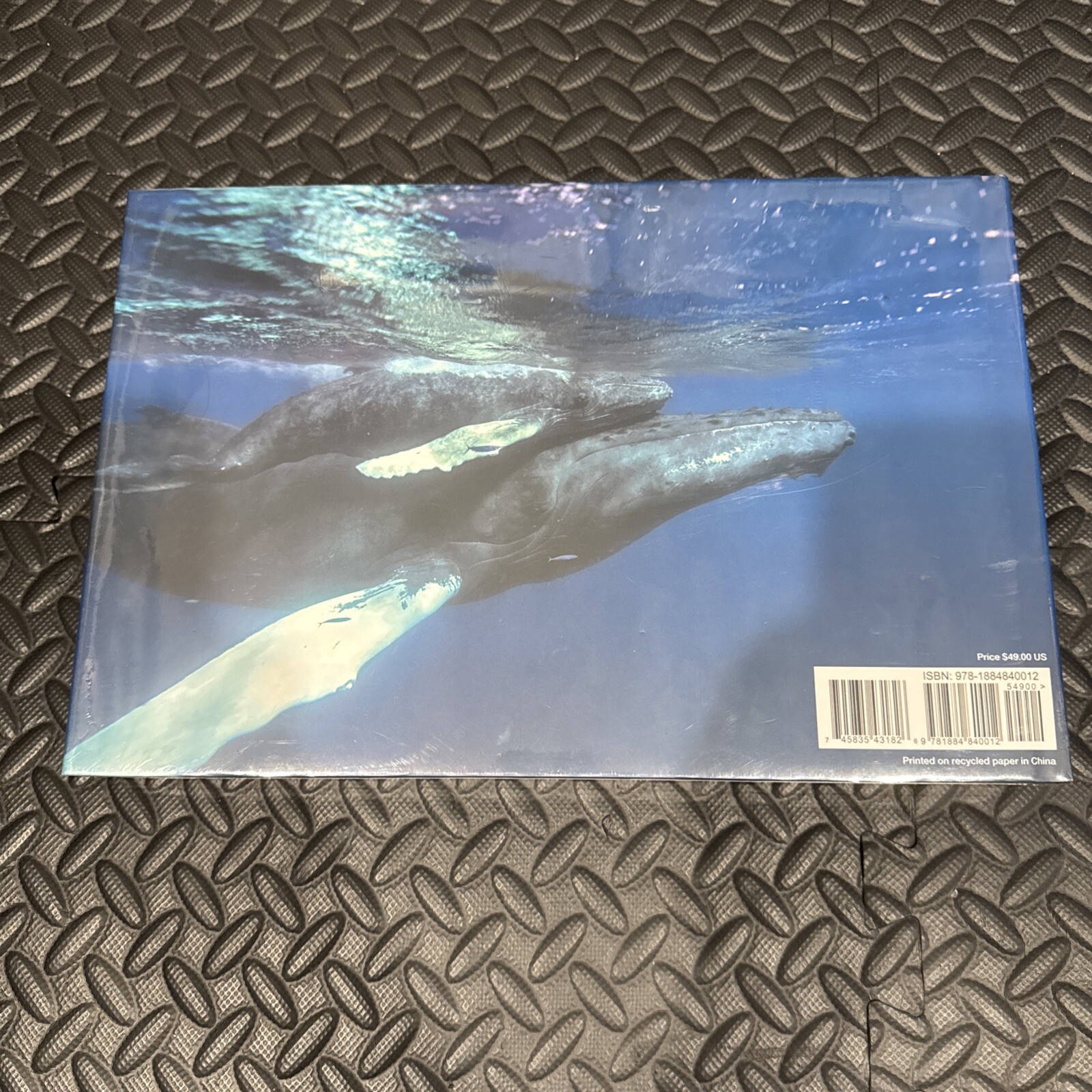 WYLAND: Visions Of The Sea 2008 Collector’s Fine Art Book NEW SEALED