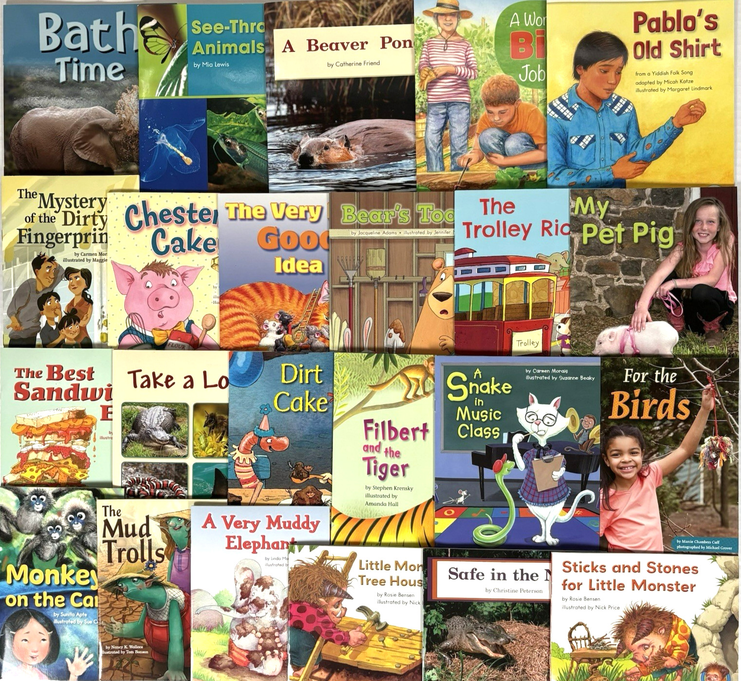 1st Grade Readers Multi-Level Reading Library #2 – 23 Books Levels E-J