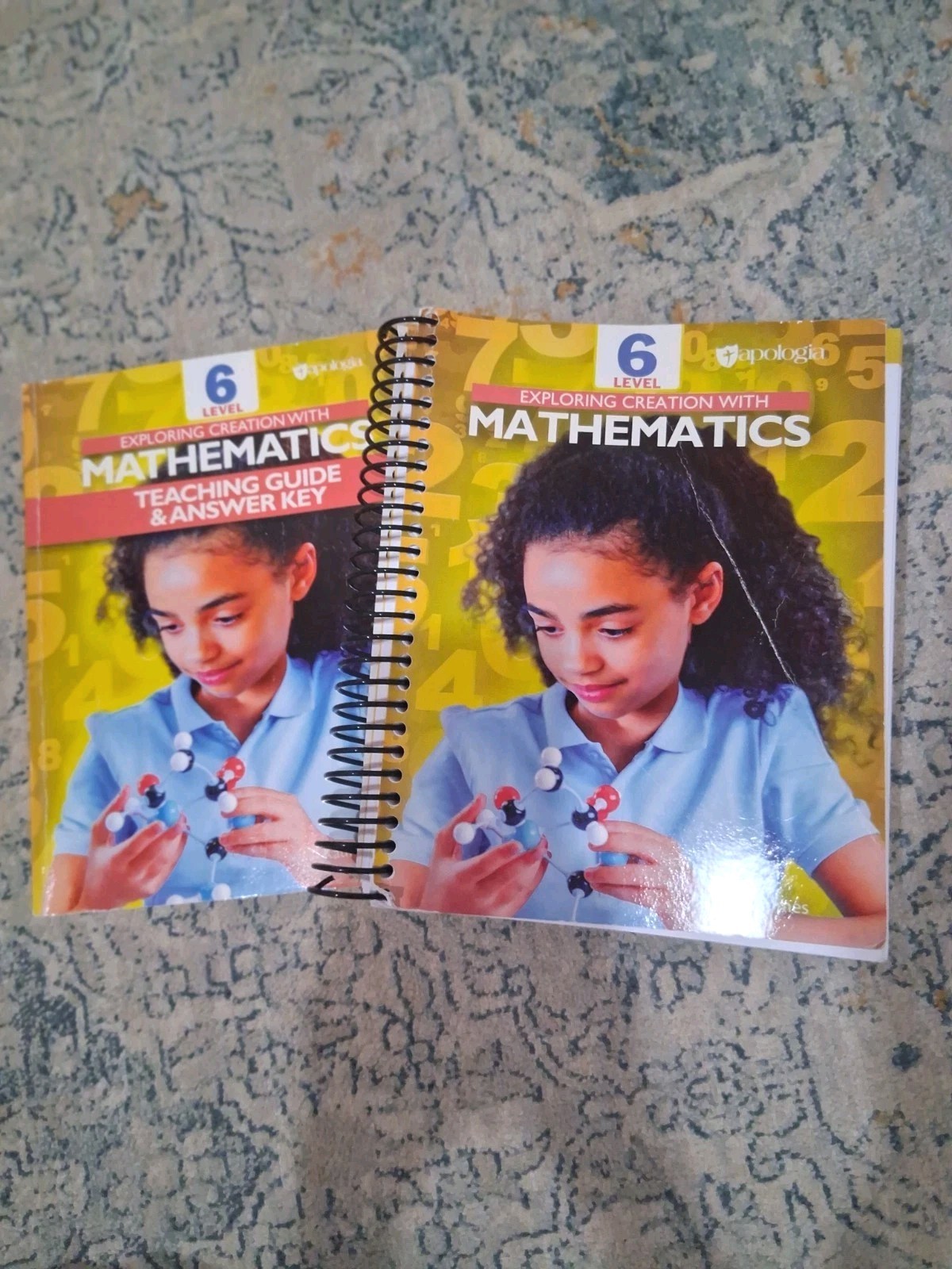 Apologia Level Six Exploring Creation With Math Student And Teacher Book Answer