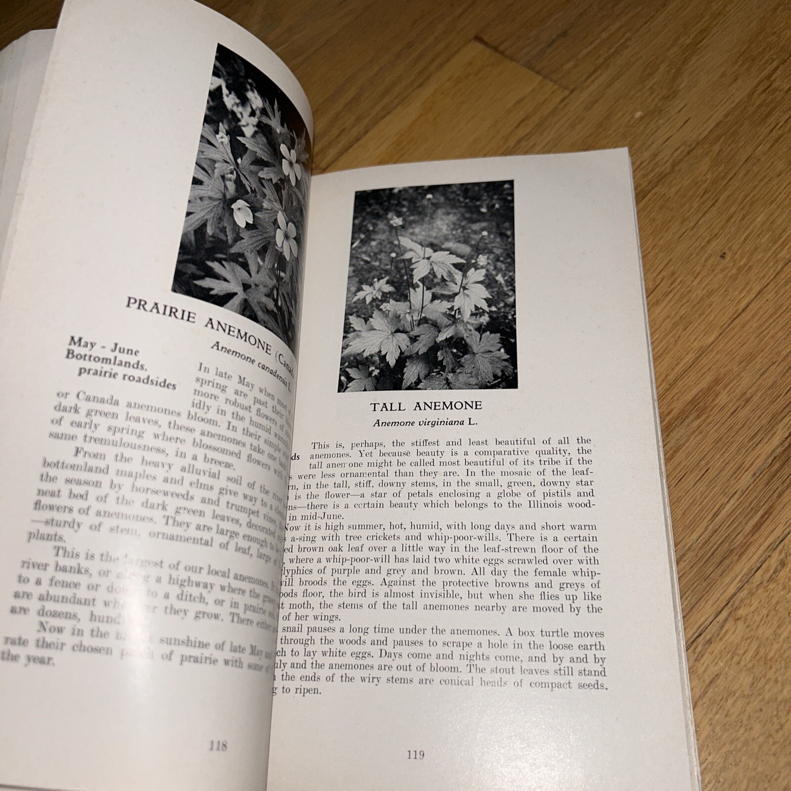 1960 ILLINOIS WILD FLOWERS by John Voss. 256 pages of Photos & Information