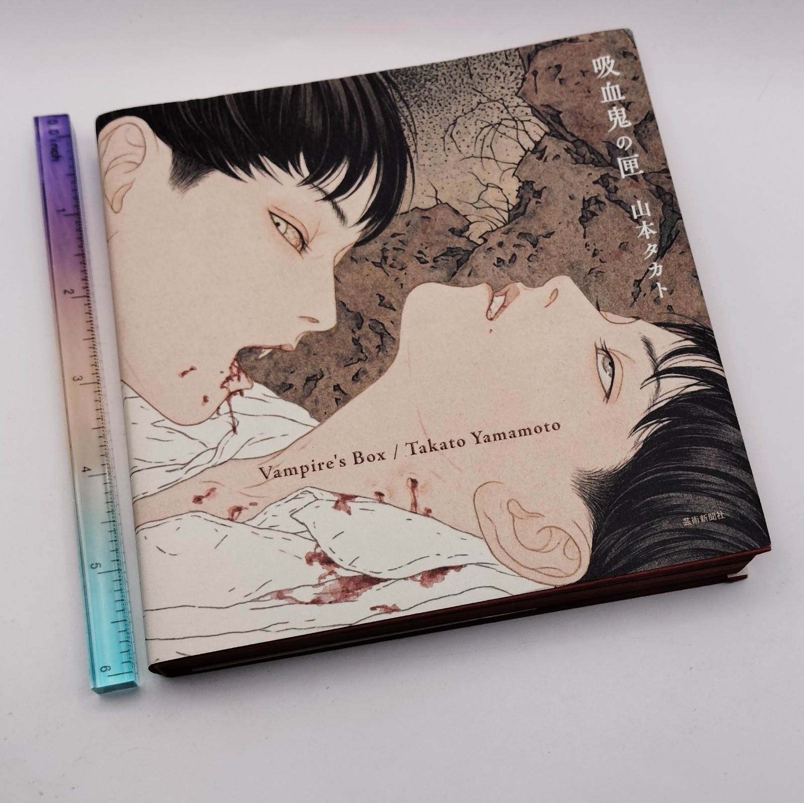 Vampire’s Box Takato Yamamoto Art Book Gothic Illustration