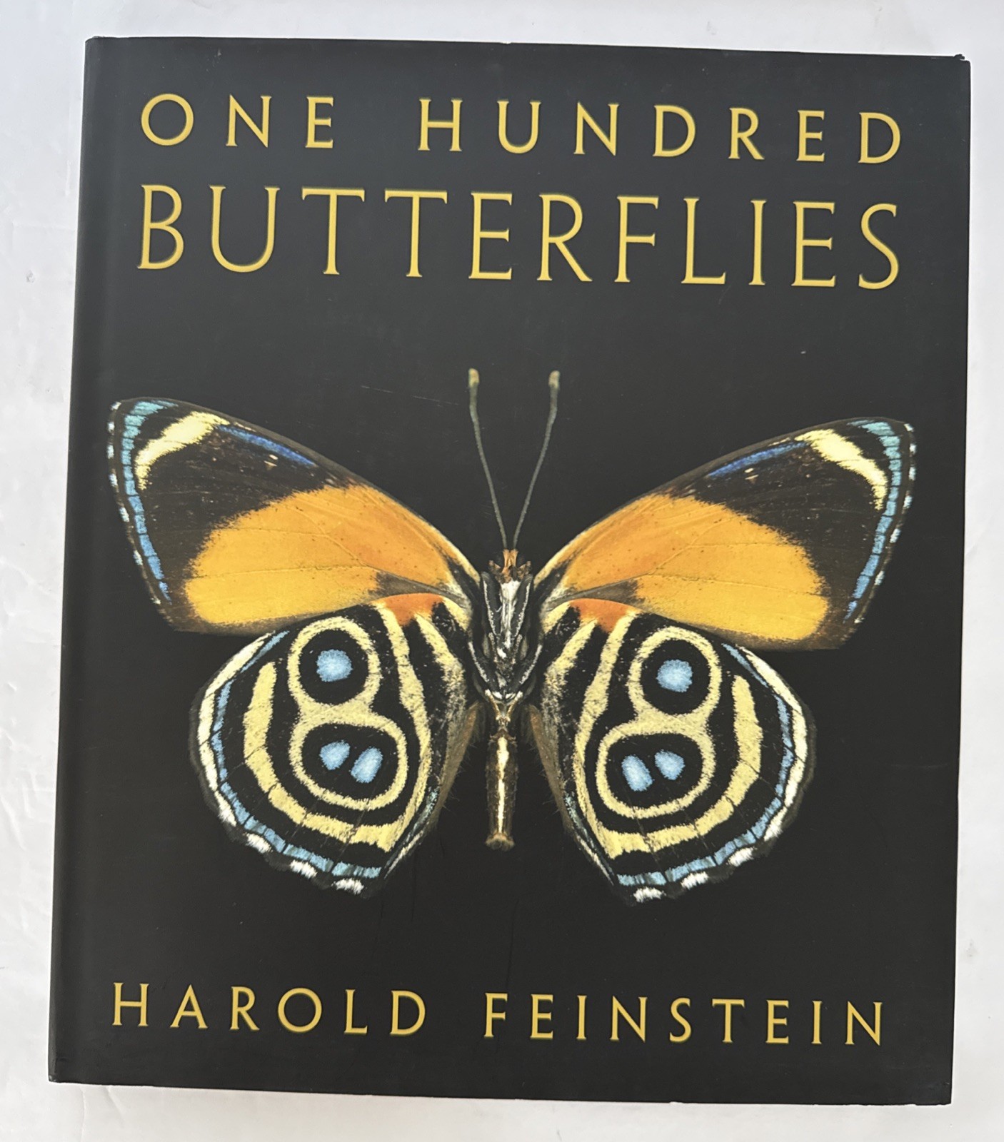 One Hundred Butterflies Hardcover Book by Harold Feinstein Dust Cover Color Pics