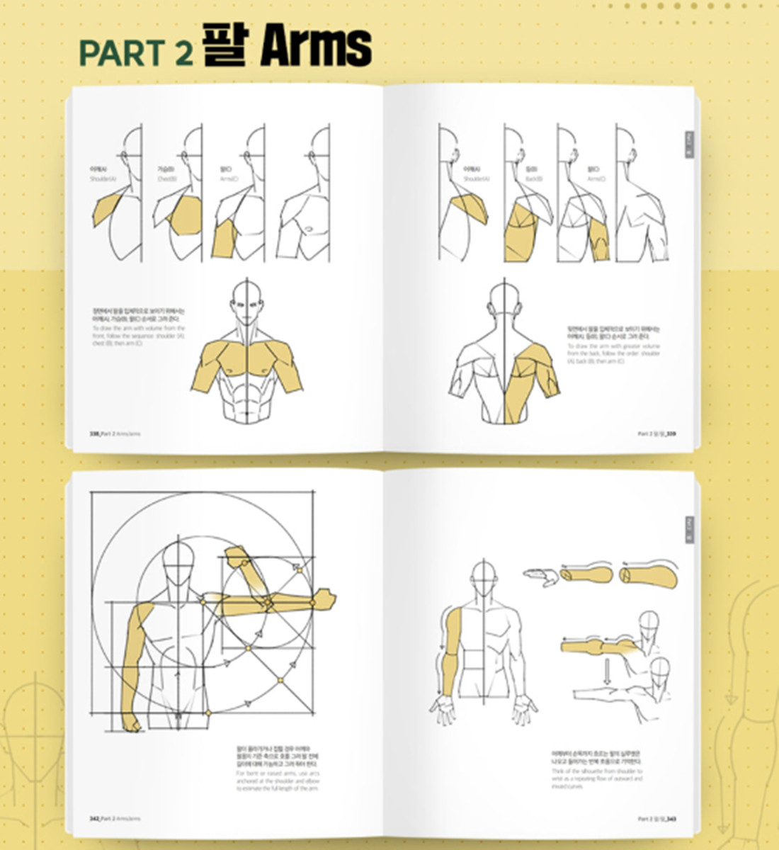 Taco Point Character Drawing 2 Korean Art Anatomy Book English Sub