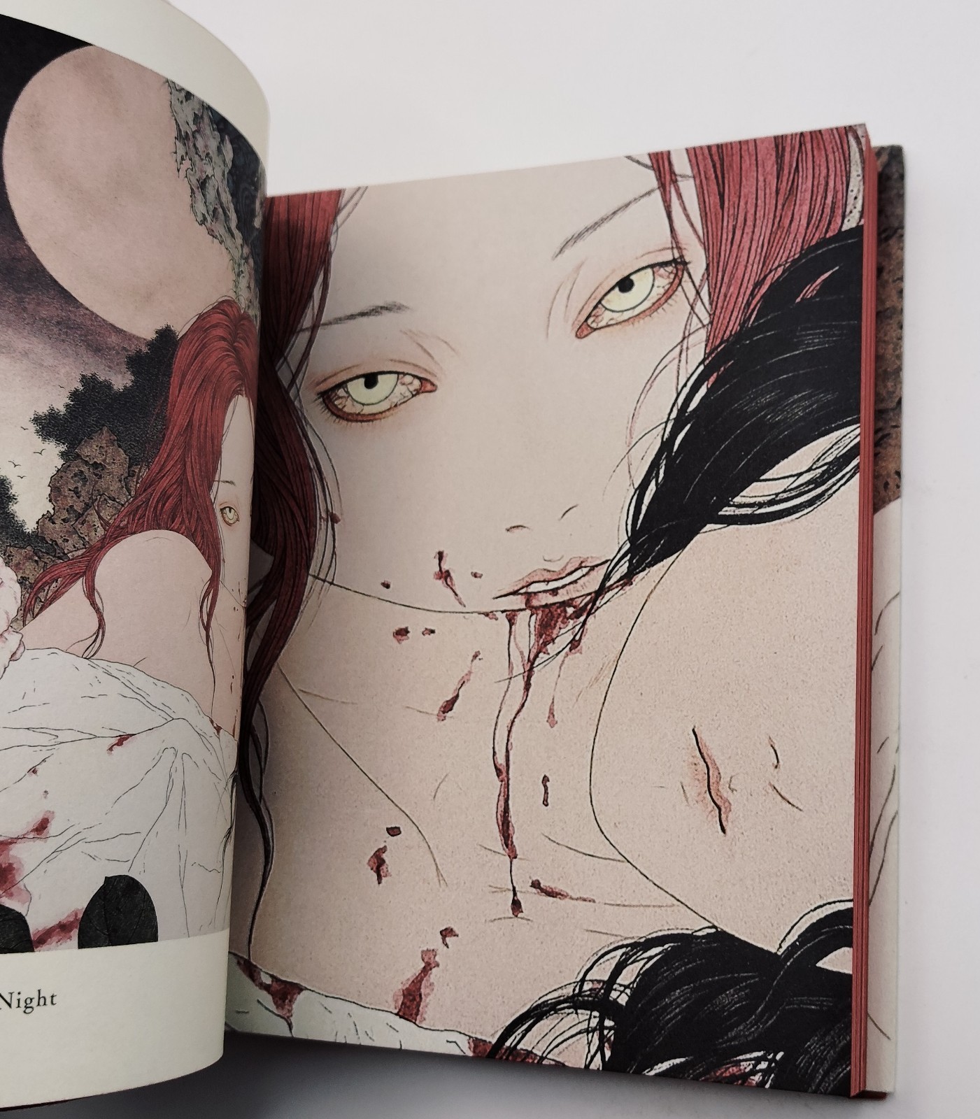 Vampire’s Box Takato Yamamoto Art Book Gothic Illustration