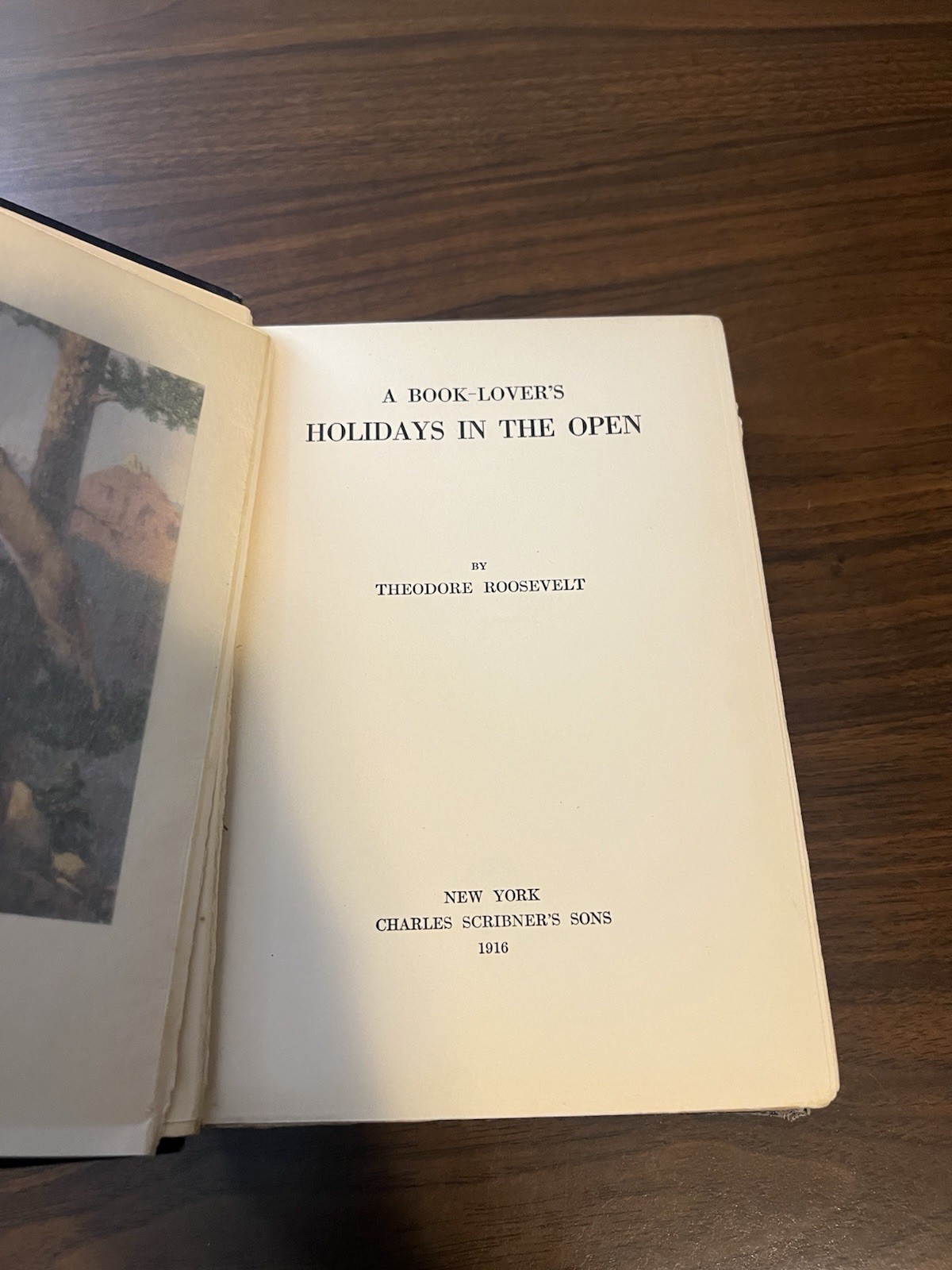Antique A Book Lovers Holidays in the Open Theodore Roosevelt HC 1916 Vtg