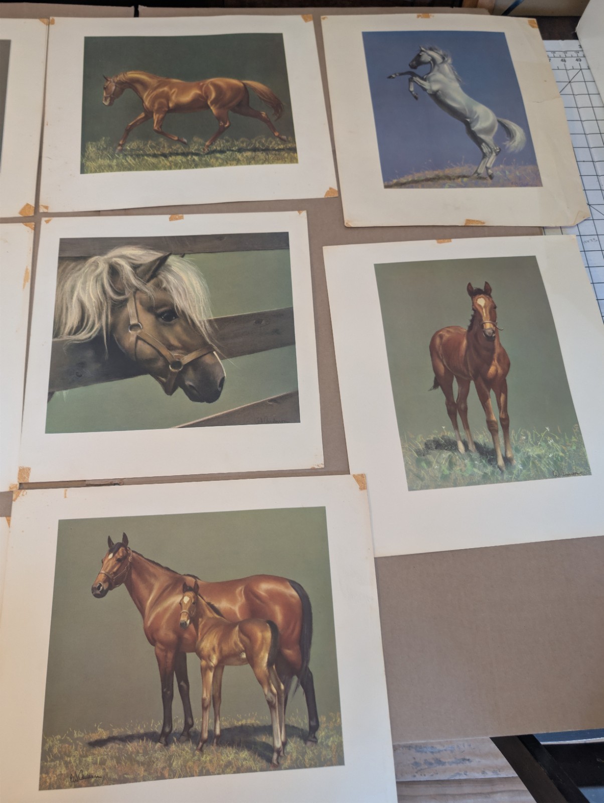 C.W. Anderson Grey Bay and Chestnut Horse Print Portfolio 1955 Harper 9 of 10