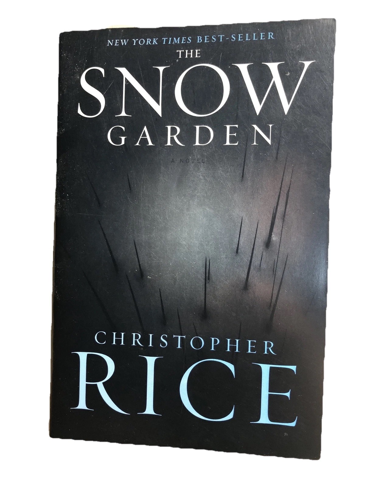 The Snow Garden : A Novel by Christopher Rice (2001 , Trade Paperback) Book