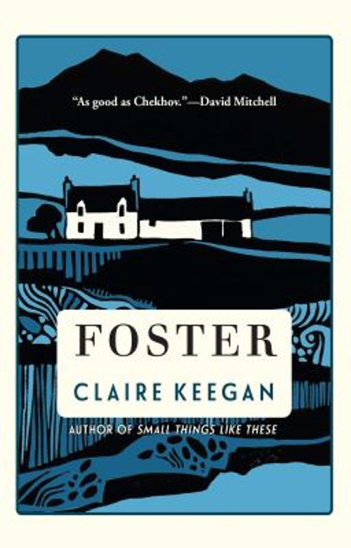 Foster Hardcover Claire Keegan