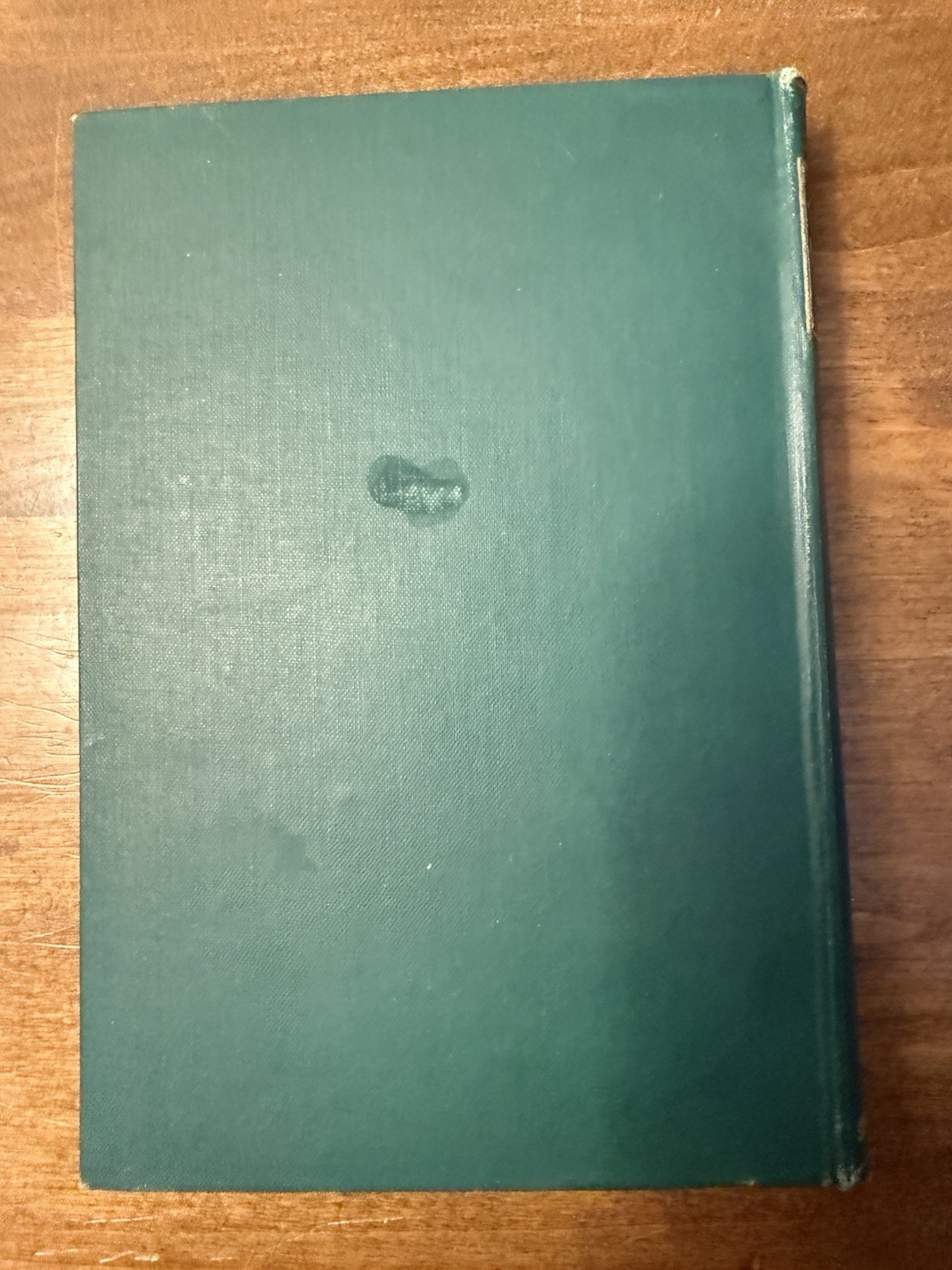 Chronicles of Dustypore H S Cunningham 1877 Anglo-Indian Society HC