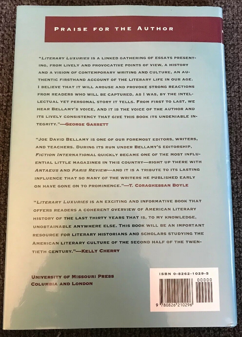 LITERARY LUXURIES: AMERICAN WRITING AT THe END OF MILLENNIUM Joe David Bellamy