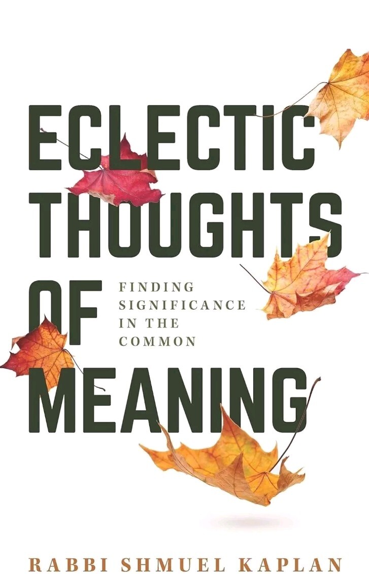 Electric Thoughts of Meaning by Rabbi Shmuel Kaplan (Hardcover)
