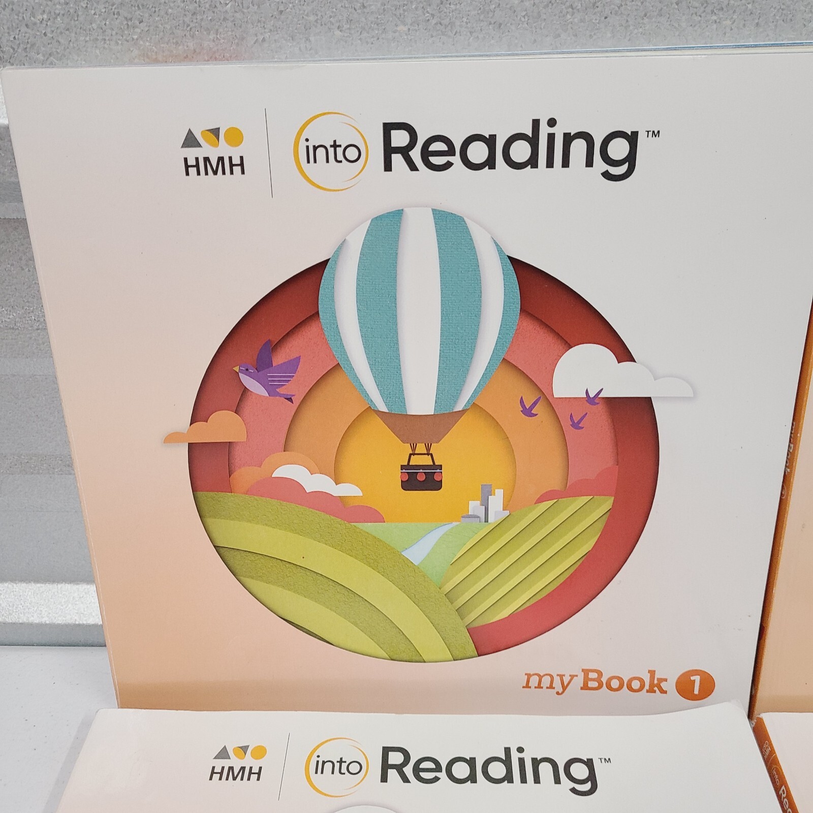 myBook HMH Into Reading Grade 2 Practice Workbook Text – Books 1-5, my book 2nd