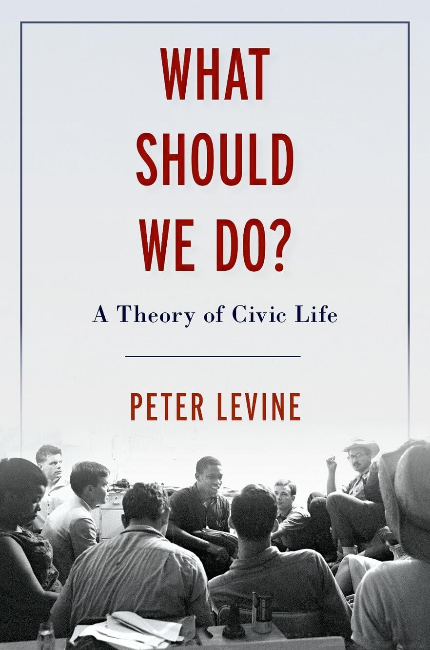 What Should We Do?: A Theory of Civic Life – Levine, Peter – Acceptable – Se…