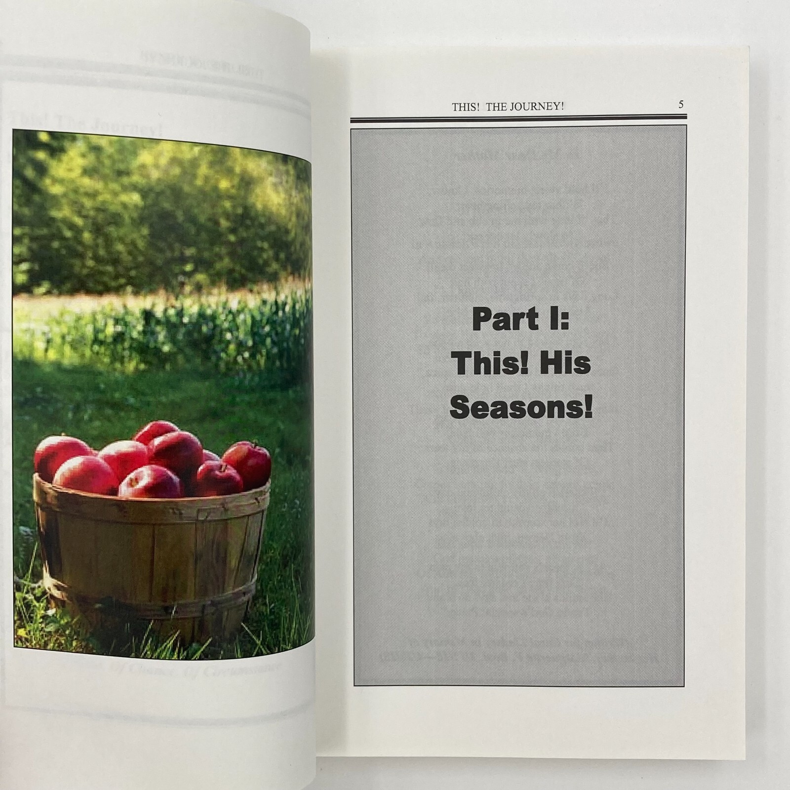 This! The Journey! Inspirational Poetry by Henry W Gurley PB 2013 343 Pages