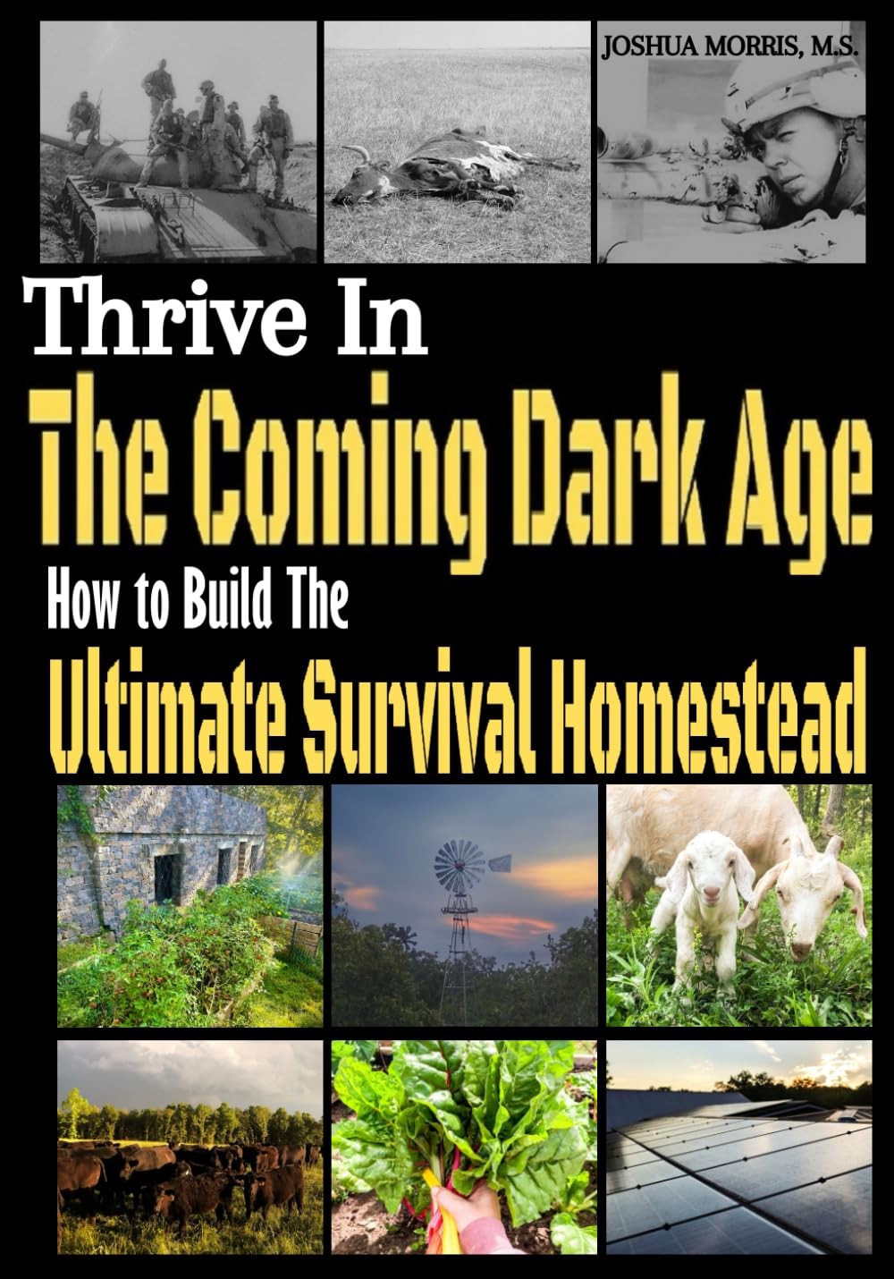 Thrive in the Coming Dark Age: How to Build the Ultimate Survival Home Paperback