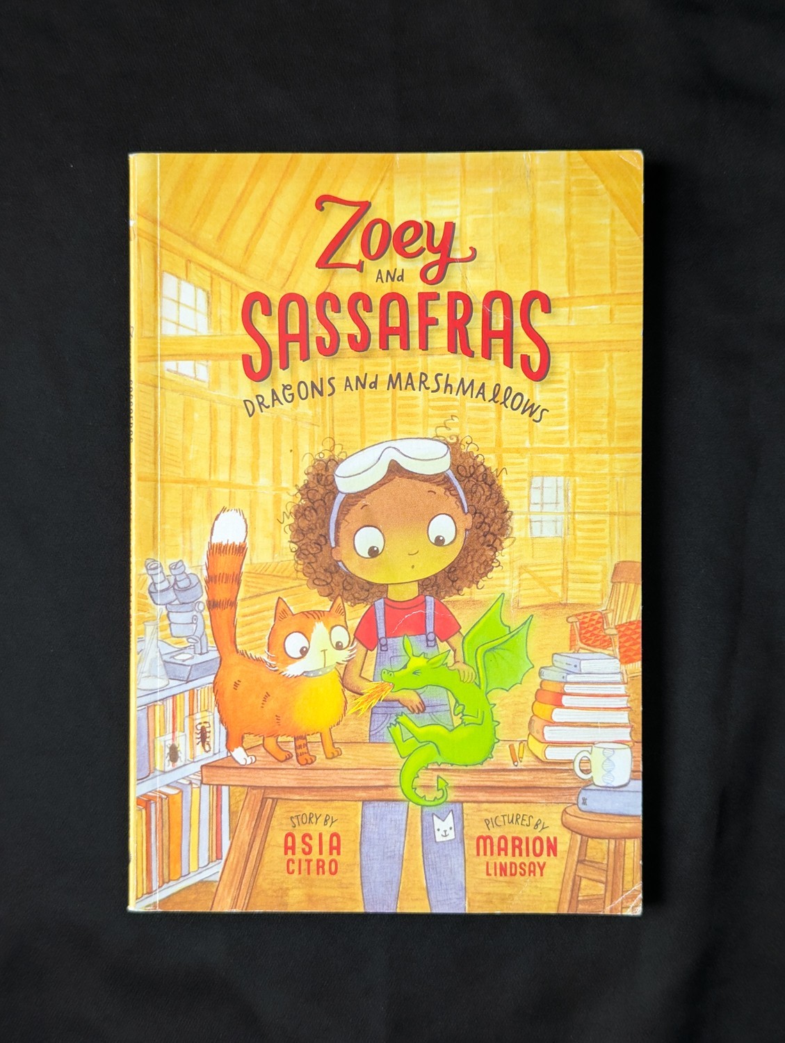Lot Of 7 Asia Citro Books Zoey & Sassafras Pod Bog Caterflies Monsters Wishypoof