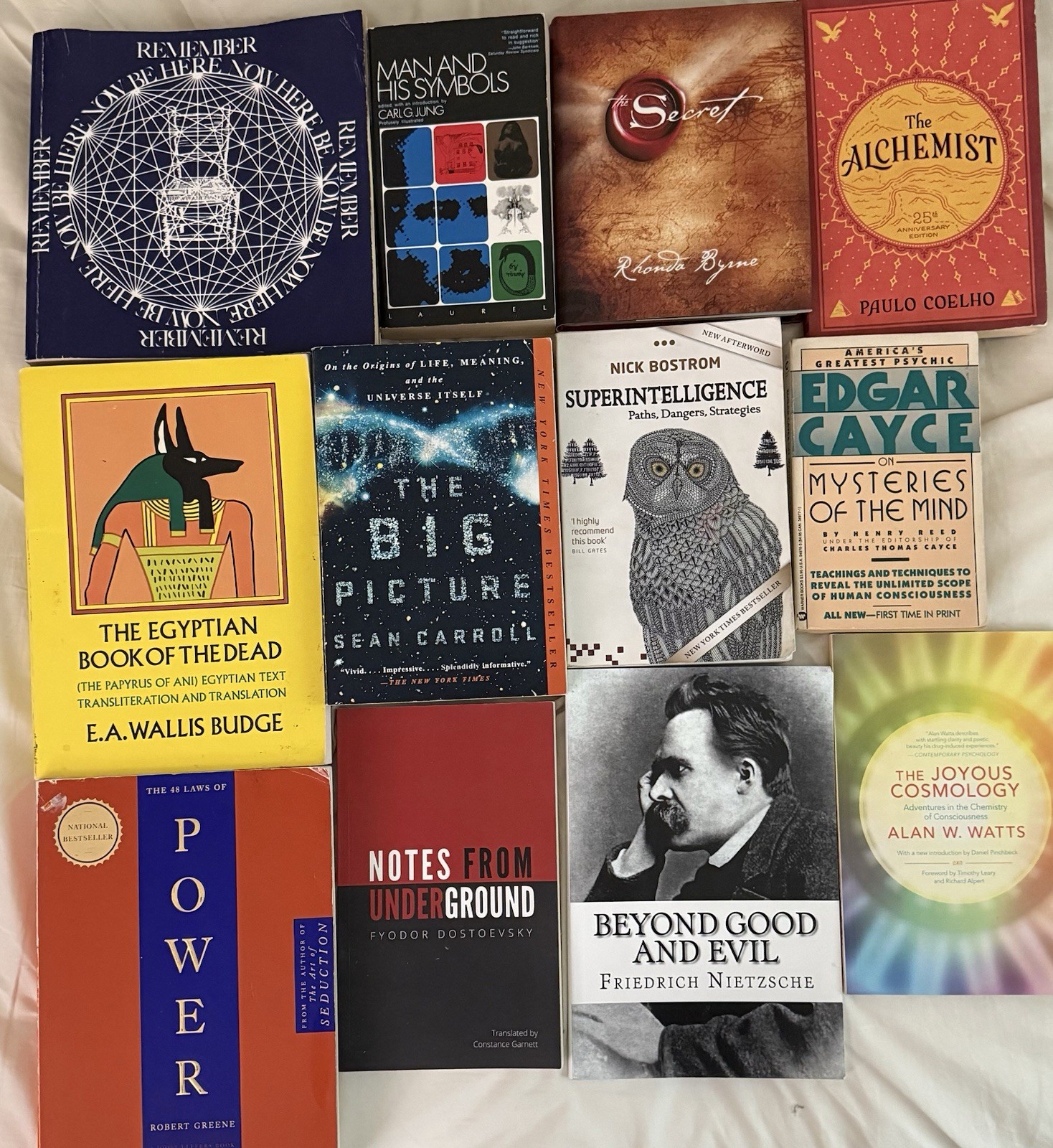 Lot of 12 Books – The Secret Alchemist 48 Laws Of Power Superintelligence & More