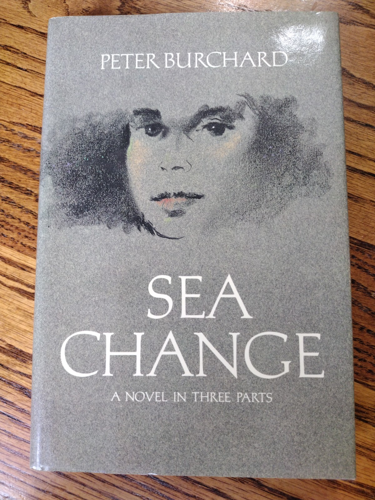 Sea Change A Novel In Three Parts by Peter Burchard First Edition Farrar Straus